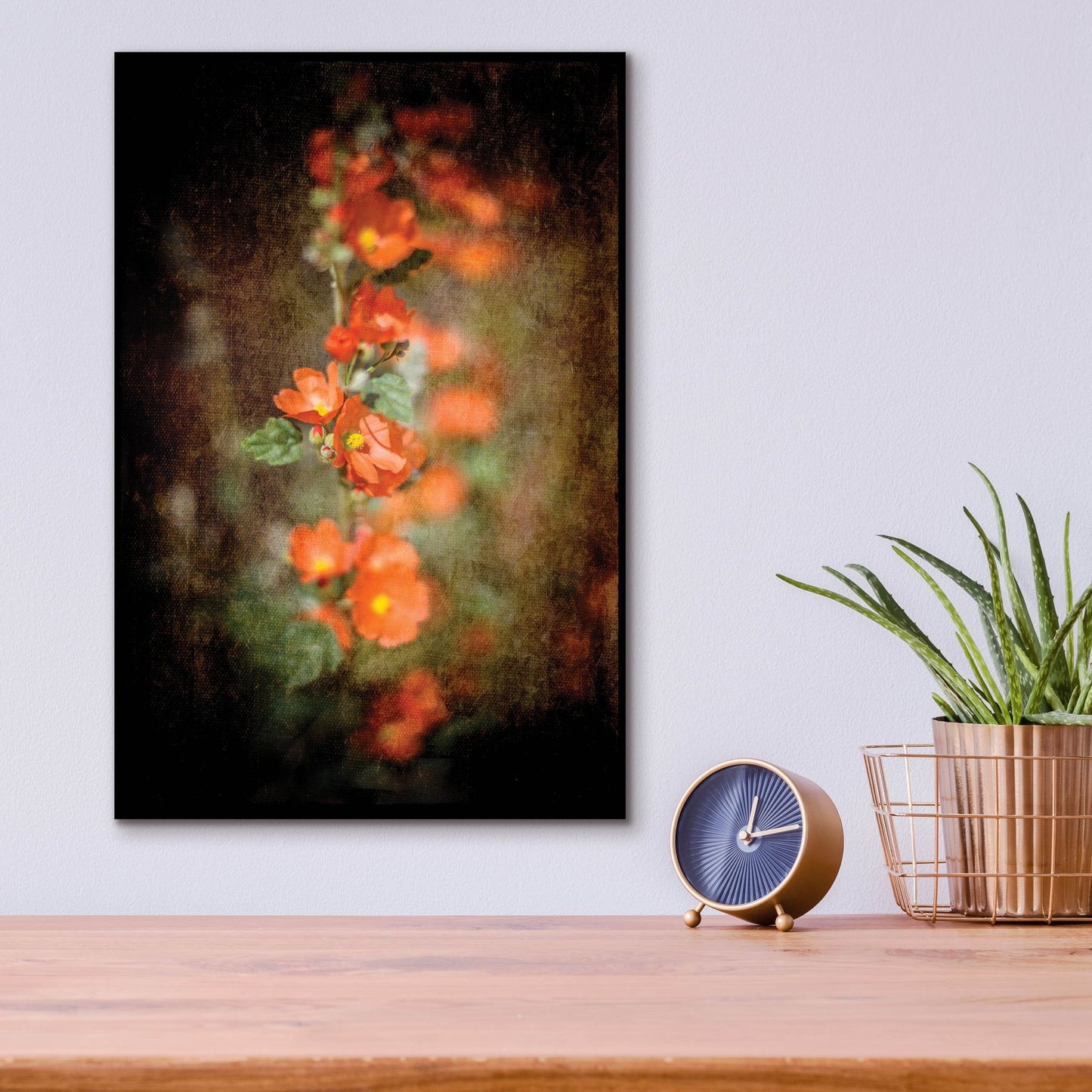 Epic Art 'Desert Flower 5' by Lightbox Journal, Acrylic Glass Wall Art,12x16