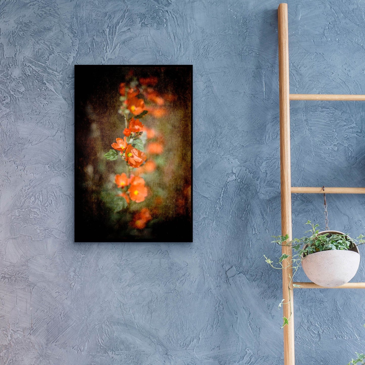 Epic Art 'Desert Flower 5' by Lightbox Journal, Acrylic Glass Wall Art,16x24