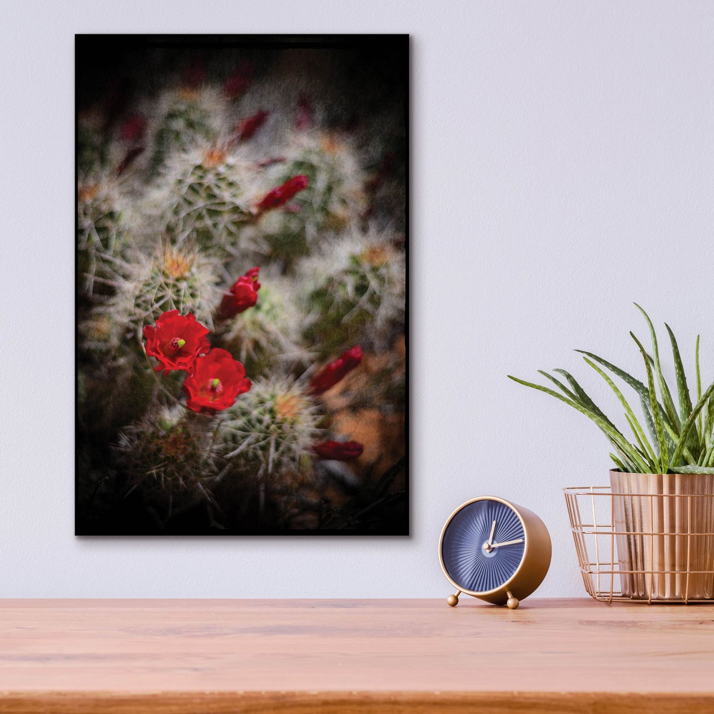 Epic Art 'Desert Flower 6' by Lightbox Journal, Acrylic Glass Wall Art,12x16