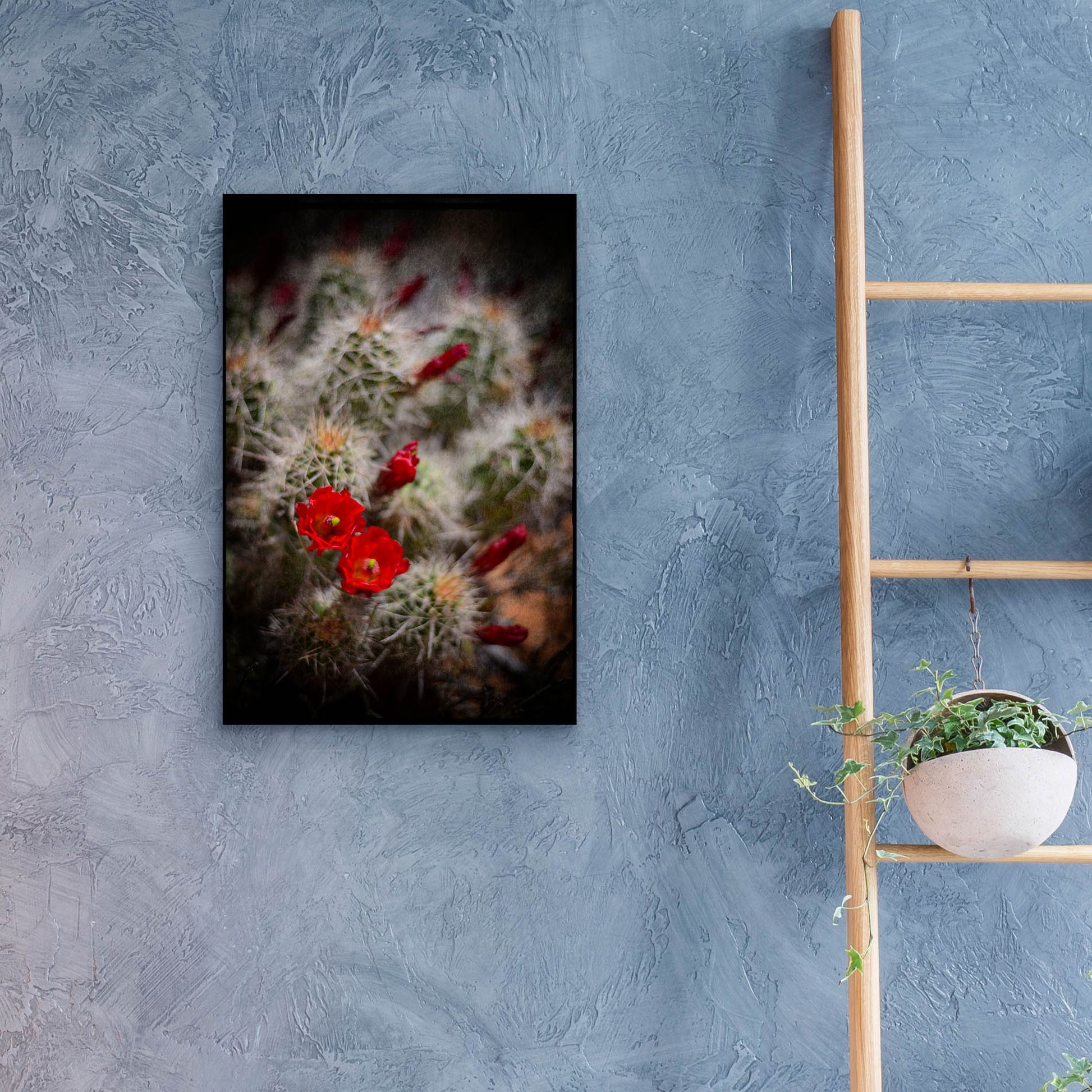 Epic Art 'Desert Flower 6' by Lightbox Journal, Acrylic Glass Wall Art,16x24