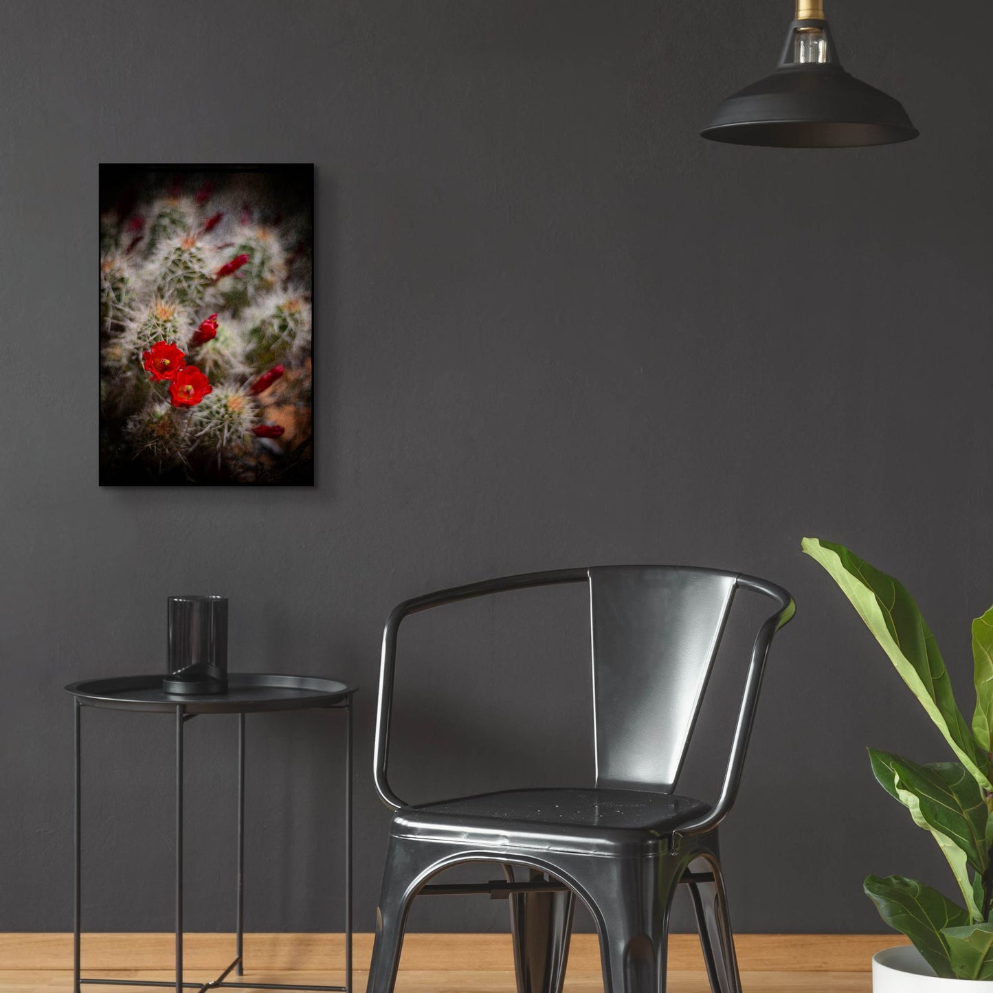 Epic Art 'Desert Flower 6' by Lightbox Journal, Acrylic Glass Wall Art,16x24