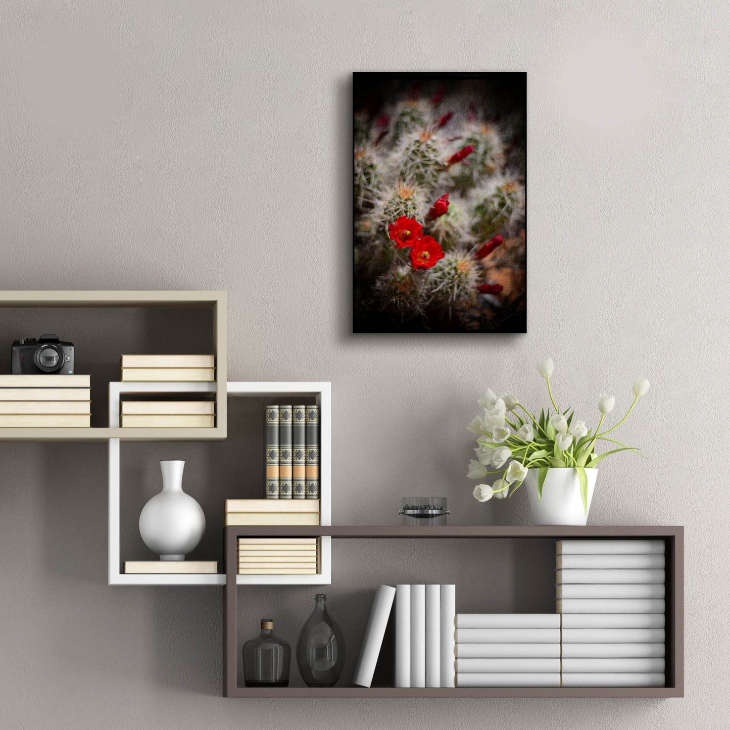 Epic Art 'Desert Flower 6' by Lightbox Journal, Acrylic Glass Wall Art,16x24