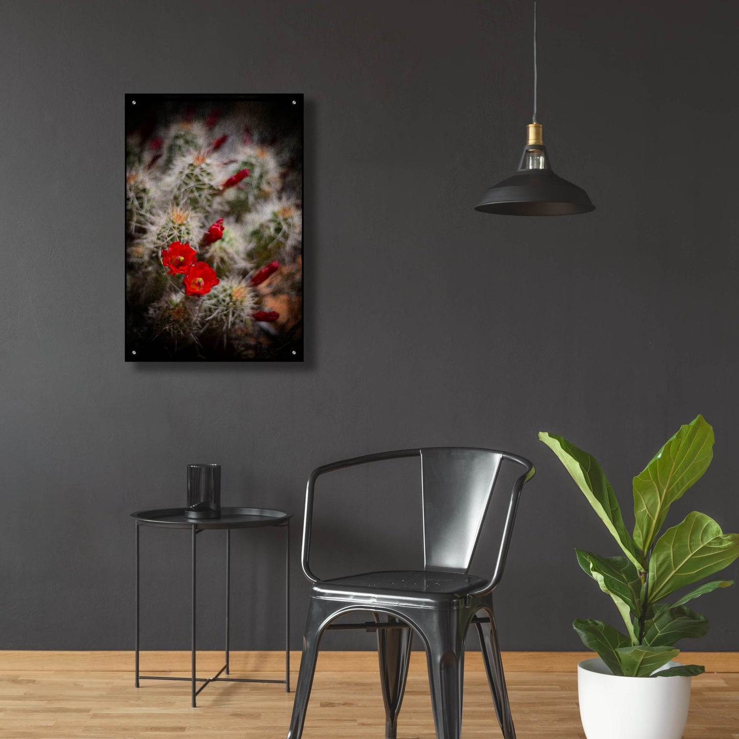 Epic Art 'Desert Flower 6' by Lightbox Journal, Acrylic Glass Wall Art,24x36