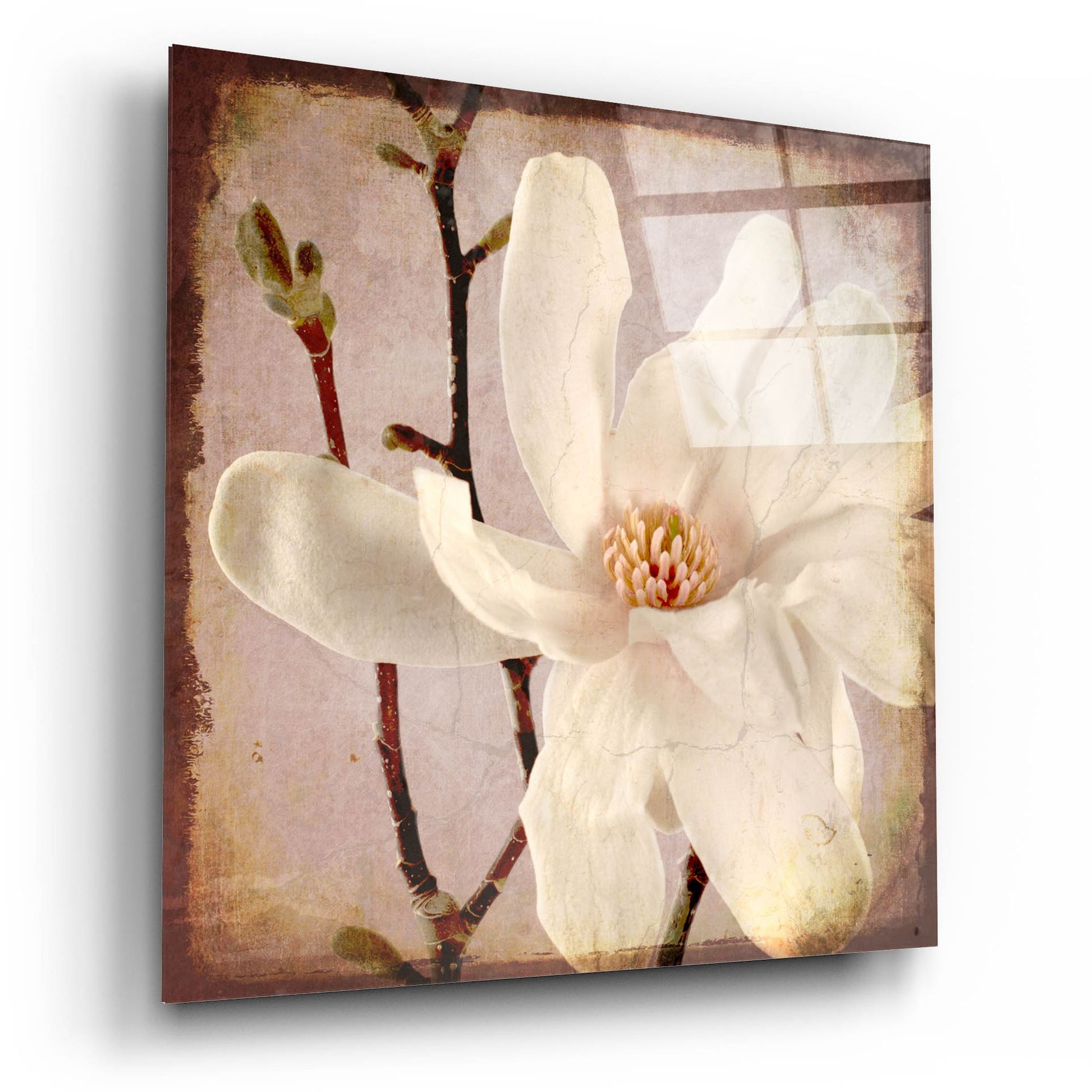 Epic Art 'Paper Magnolia Closeup' by Lightbox Journal, Acrylic Glass Wall Art,12x12