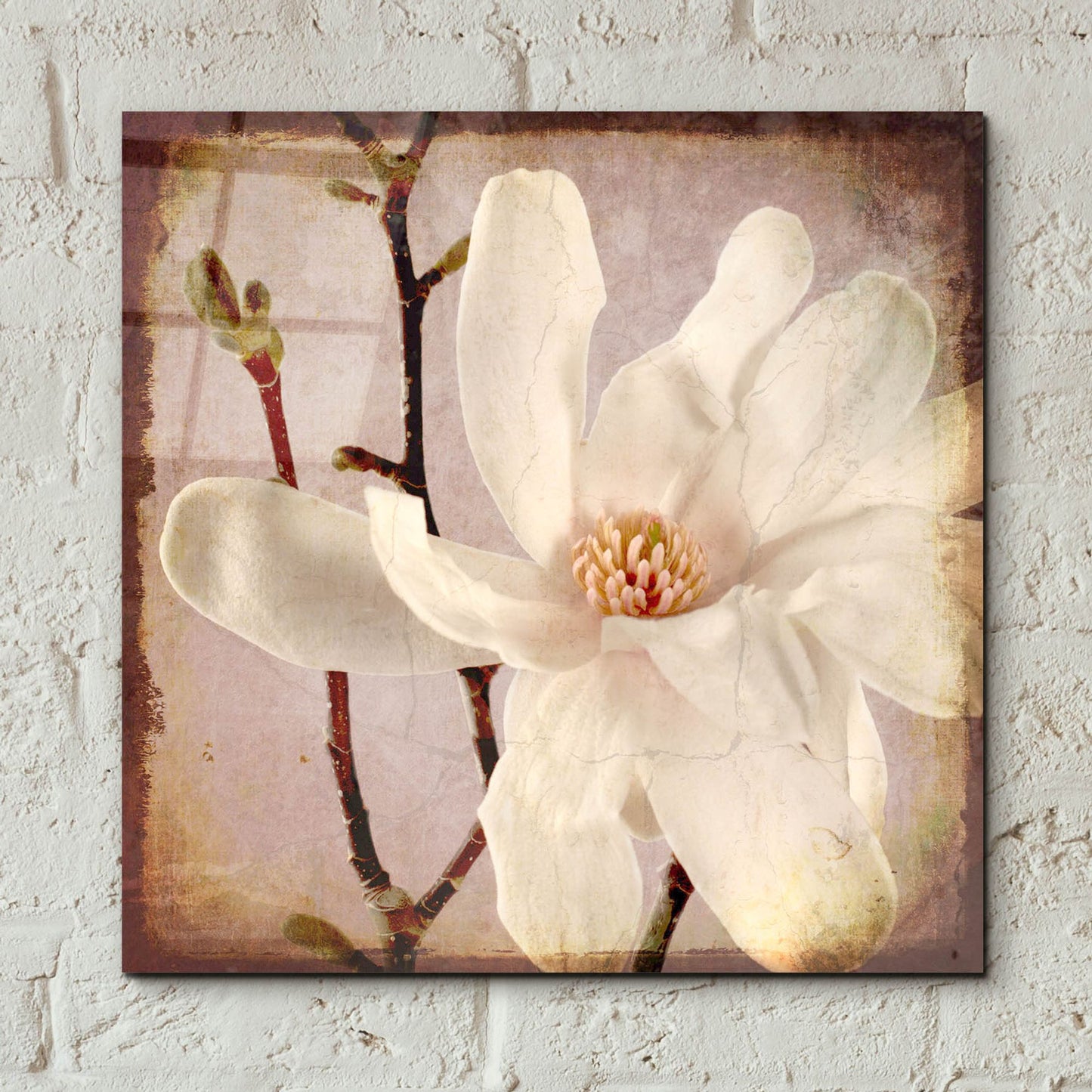 Epic Art 'Paper Magnolia Closeup' by Lightbox Journal, Acrylic Glass Wall Art,12x12