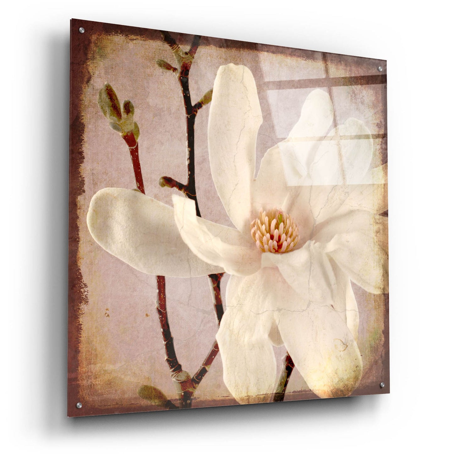 Epic Art 'Paper Magnolia Closeup' by Lightbox Journal, Acrylic Glass Wall Art,36x36