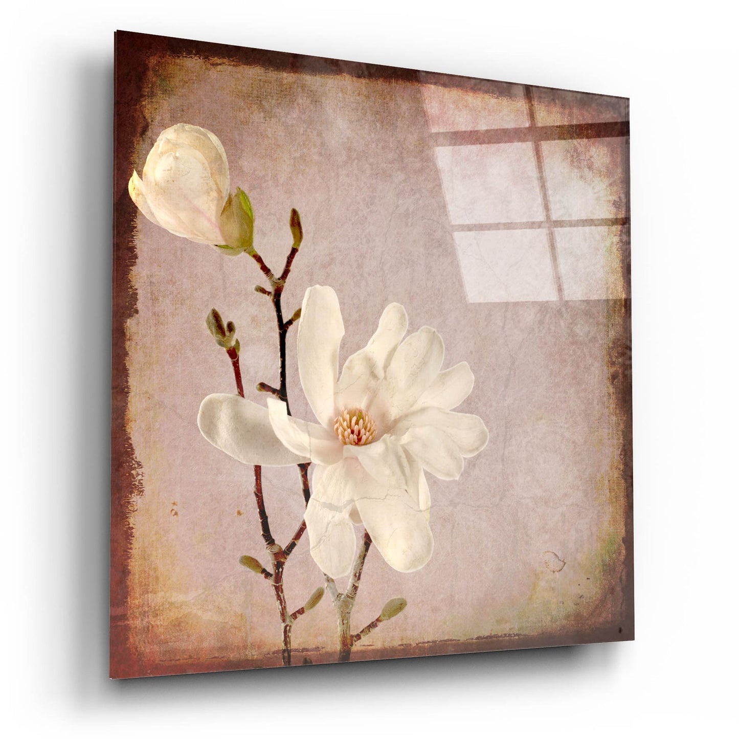 Epic Art 'Paper Magnolia Duo' by Lightbox Journal, Acrylic Glass Wall Art,12x12