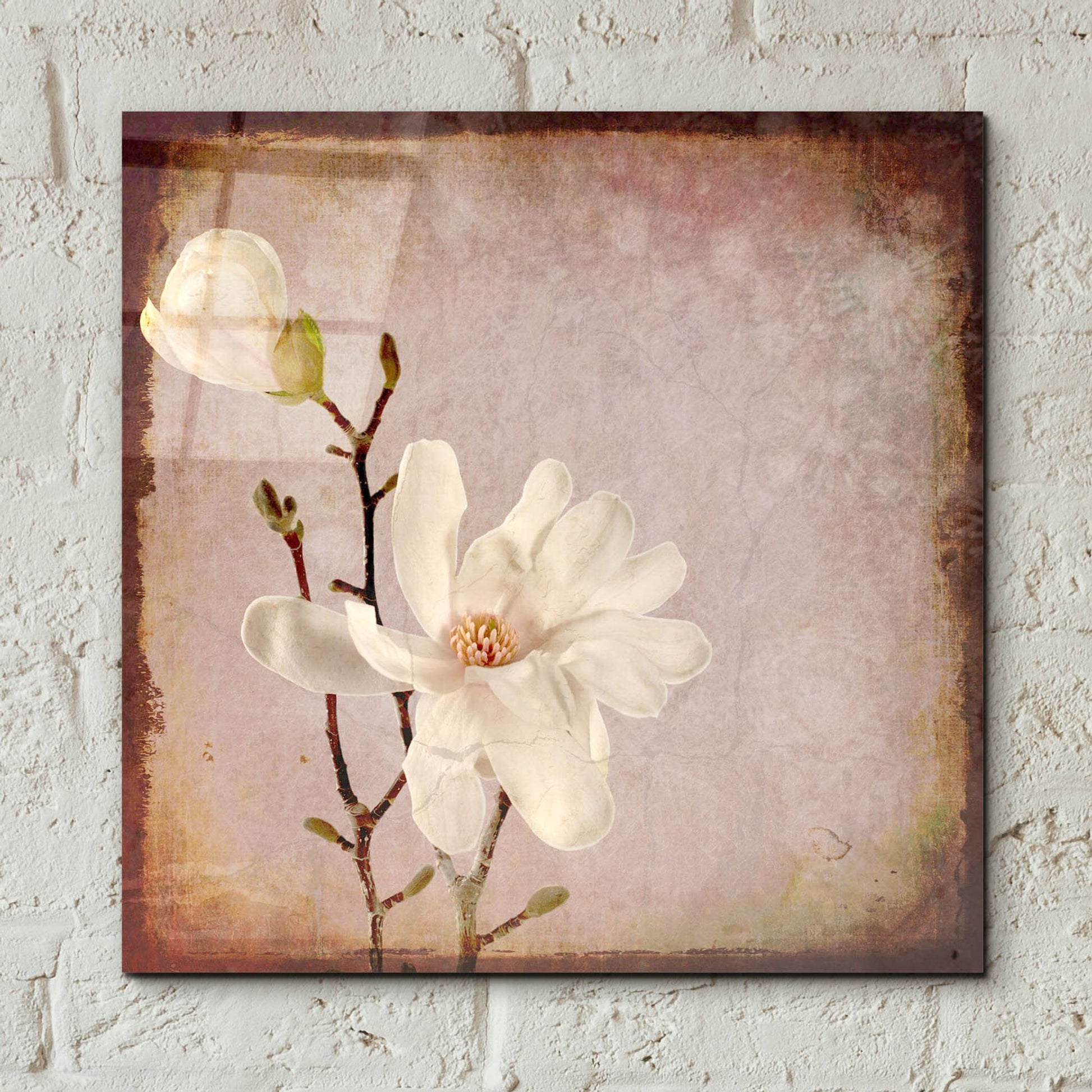 Epic Art 'Paper Magnolia Duo' by Lightbox Journal, Acrylic Glass Wall Art,12x12