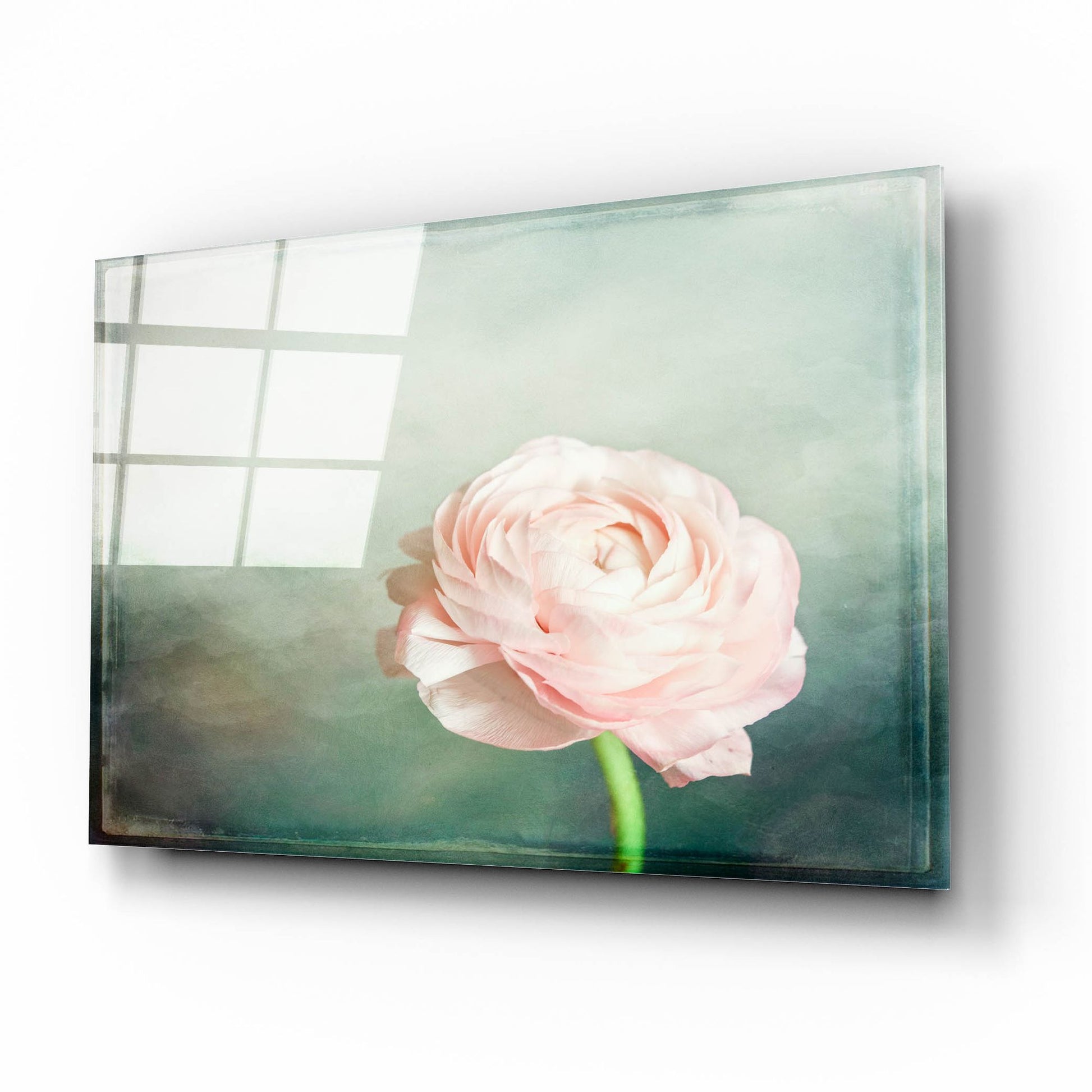 Epic Art 'Peony 03' by Lightbox Journal, Acrylic Glass Wall Art,16x12