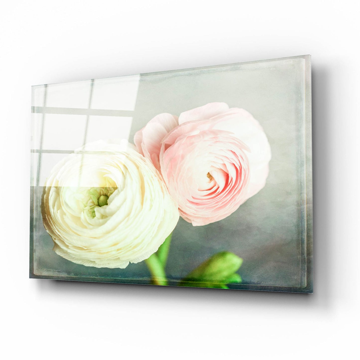 Epic Art 'Peony 06' by Lightbox Journal, Acrylic Glass Wall Art,16x12