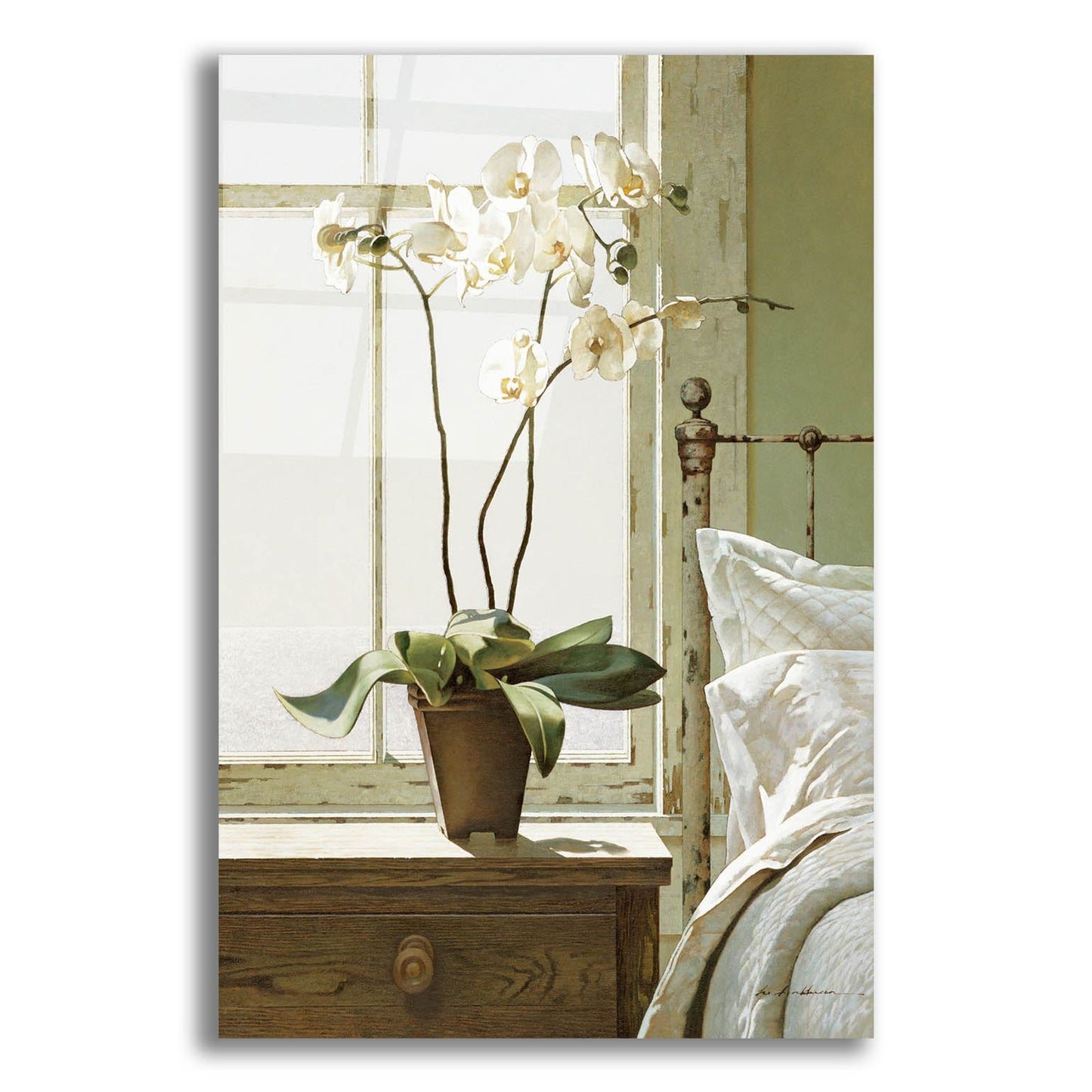 Epic Art 'Orchids In The Window' by Zhen-Huan Lu, Acrylic Glass Wall Art