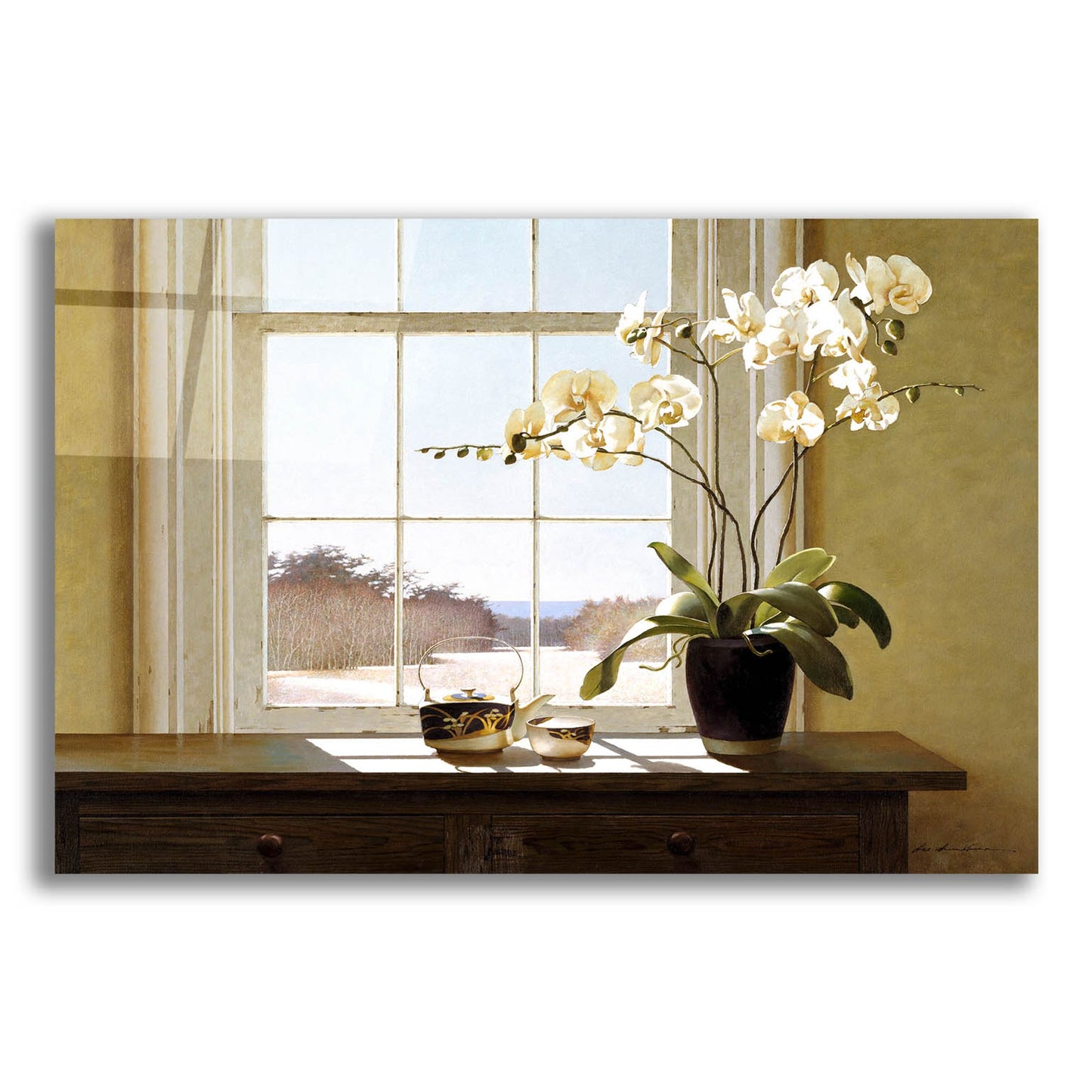 Epic Art 'Orchids In The Window 2' by Zhen-Huan Lu, Acrylic Glass Wall Art