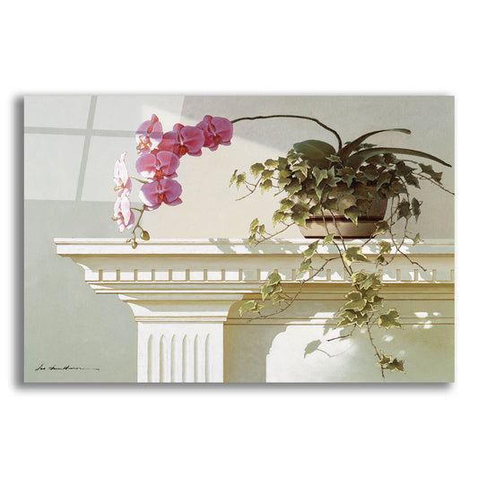 Epic Art 'Orchid On Mantle' by Zhen-Huan Lu, Acrylic Glass Wall Art