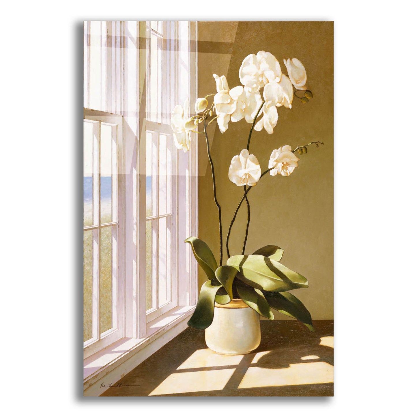 Epic Art 'Pot Of Orchids' by Zhen-Huan Lu, Acrylic Glass Wall Art