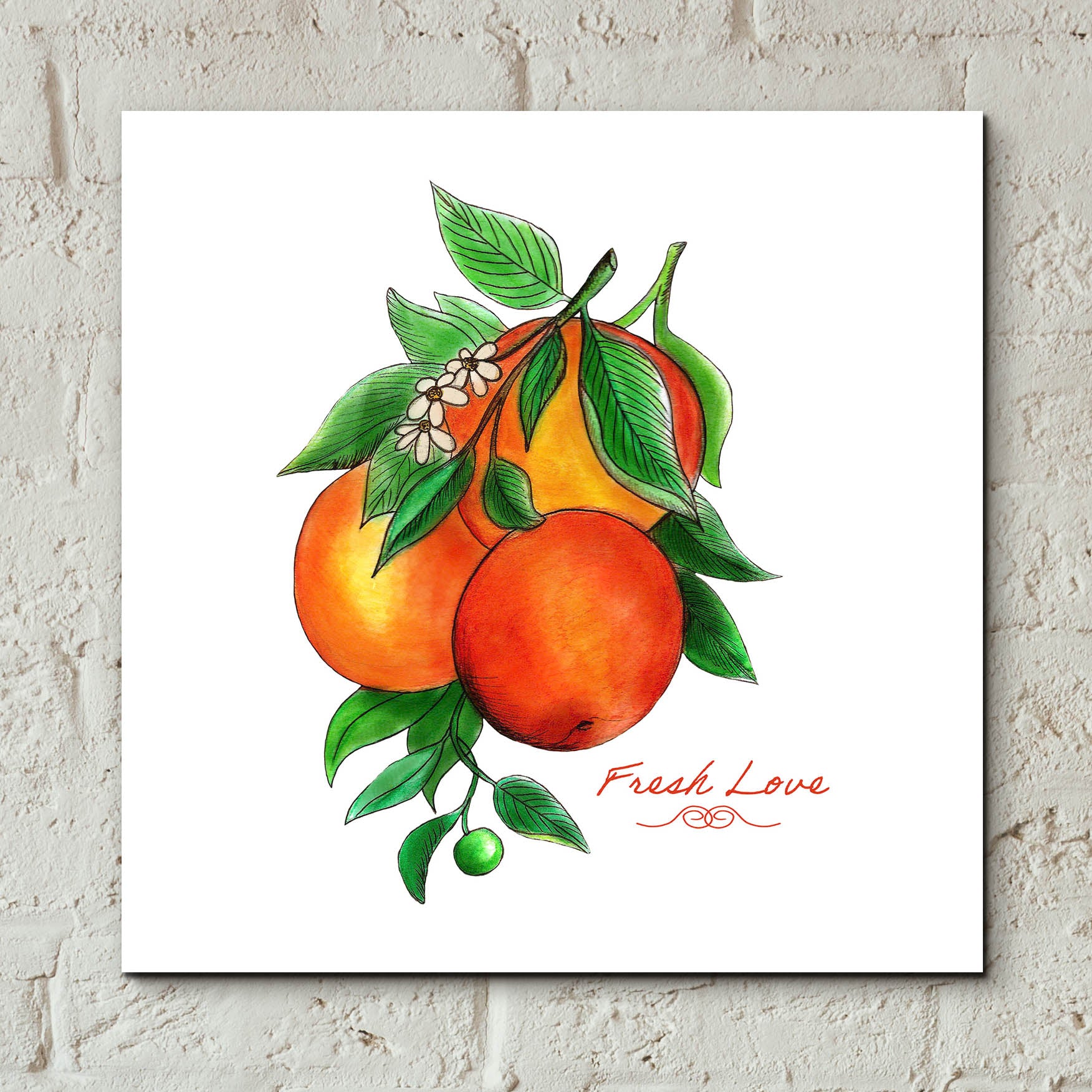 Epic Art 'Illuminating Oranges And Phrase' by Sabrina Balbuena, Acrylic Glass Wall Art,12x12