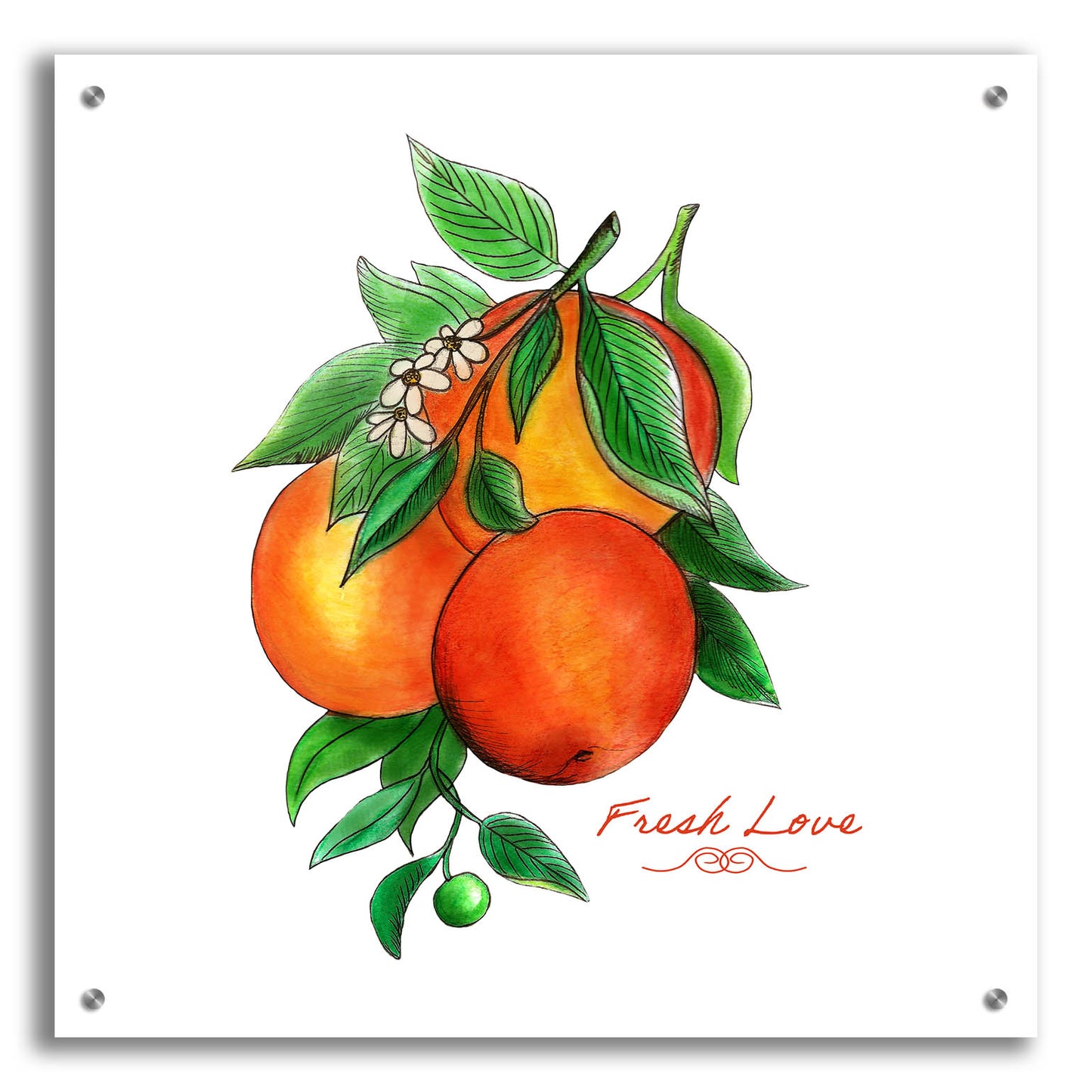 Epic Art 'Illuminating Oranges And Phrase' by Sabrina Balbuena, Acrylic Glass Wall Art,24x24
