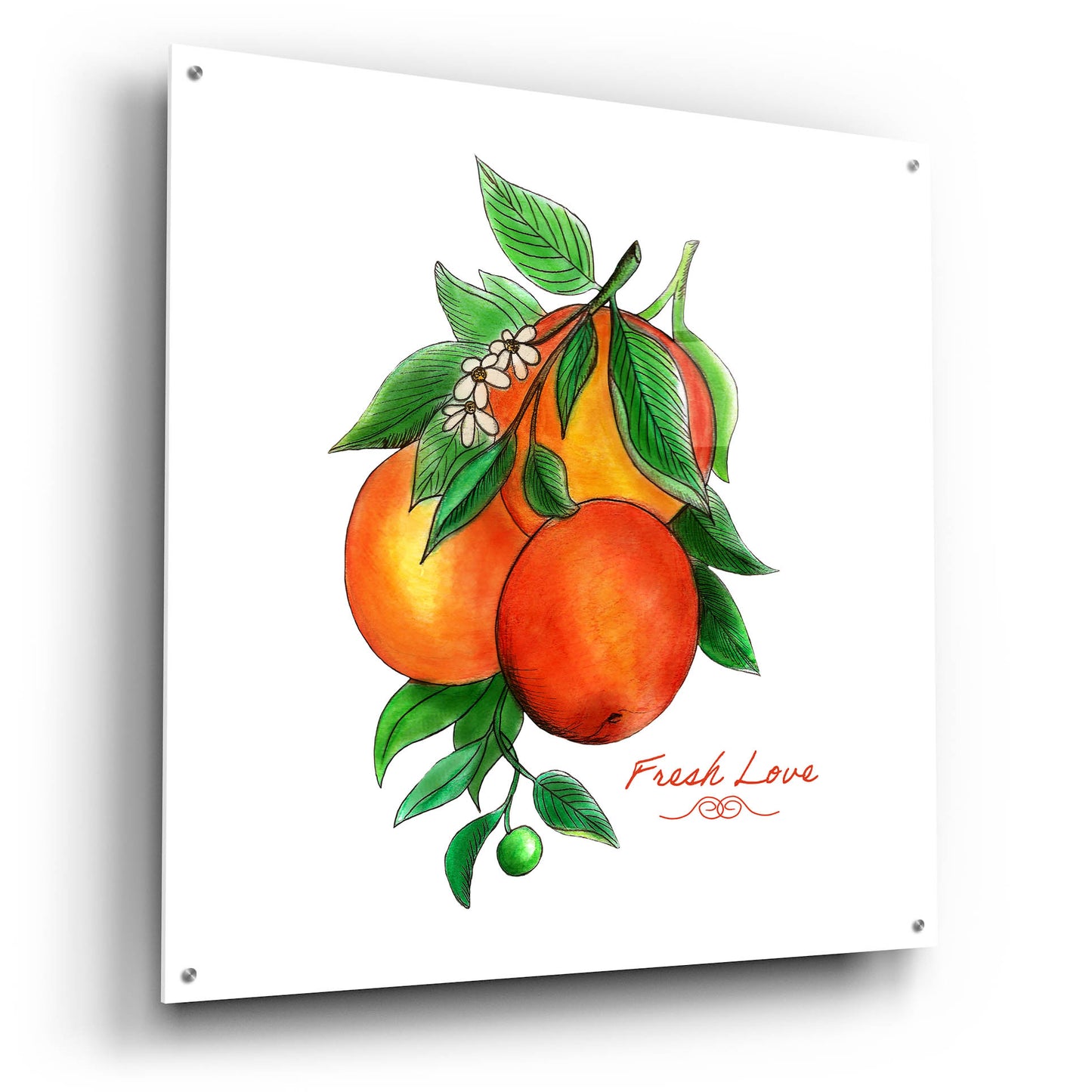 Epic Art 'Illuminating Oranges And Phrase' by Sabrina Balbuena, Acrylic Glass Wall Art,36x36