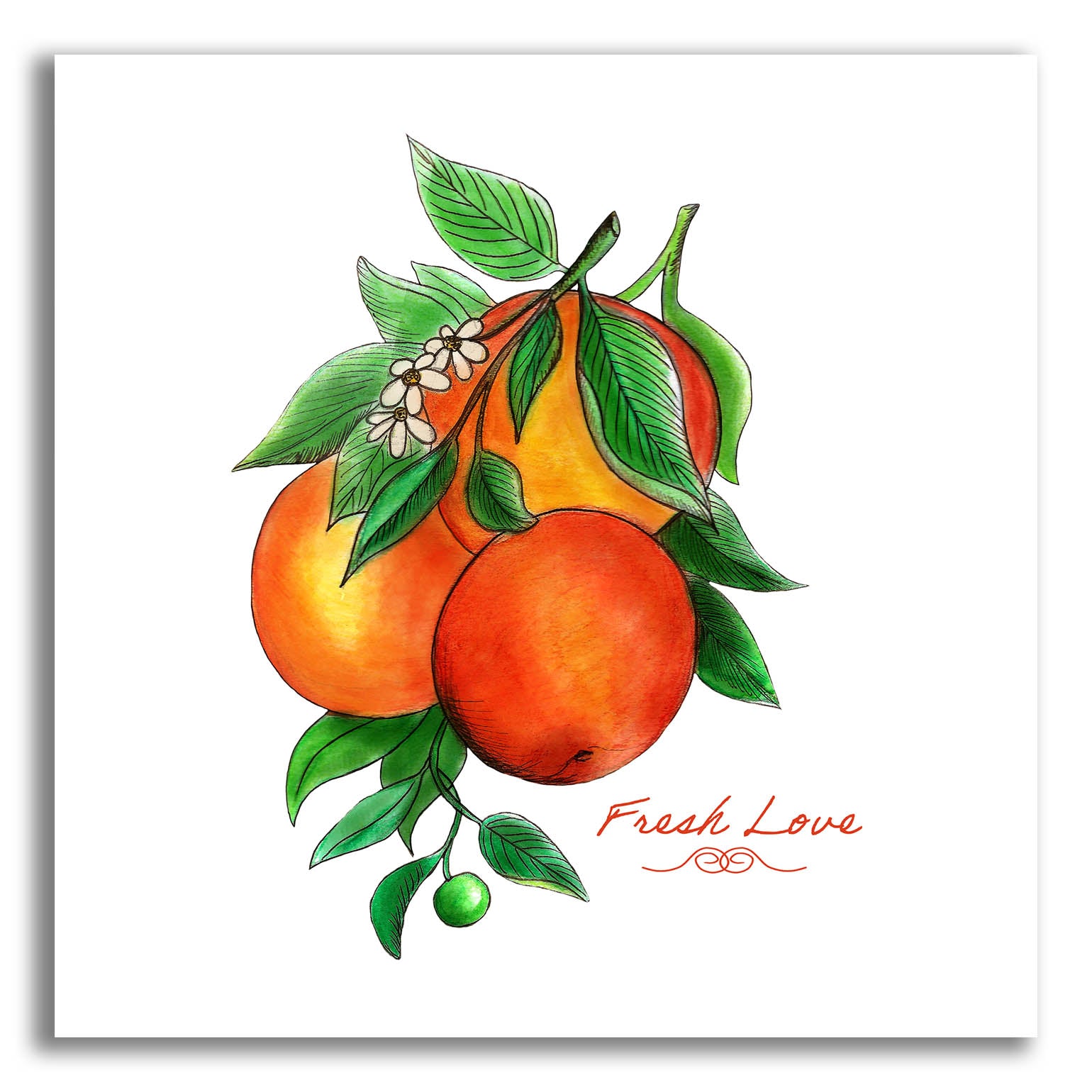 Epic Art 'Illuminating Oranges And Phrase' by Sabrina Balbuena, Acrylic Glass Wall Art