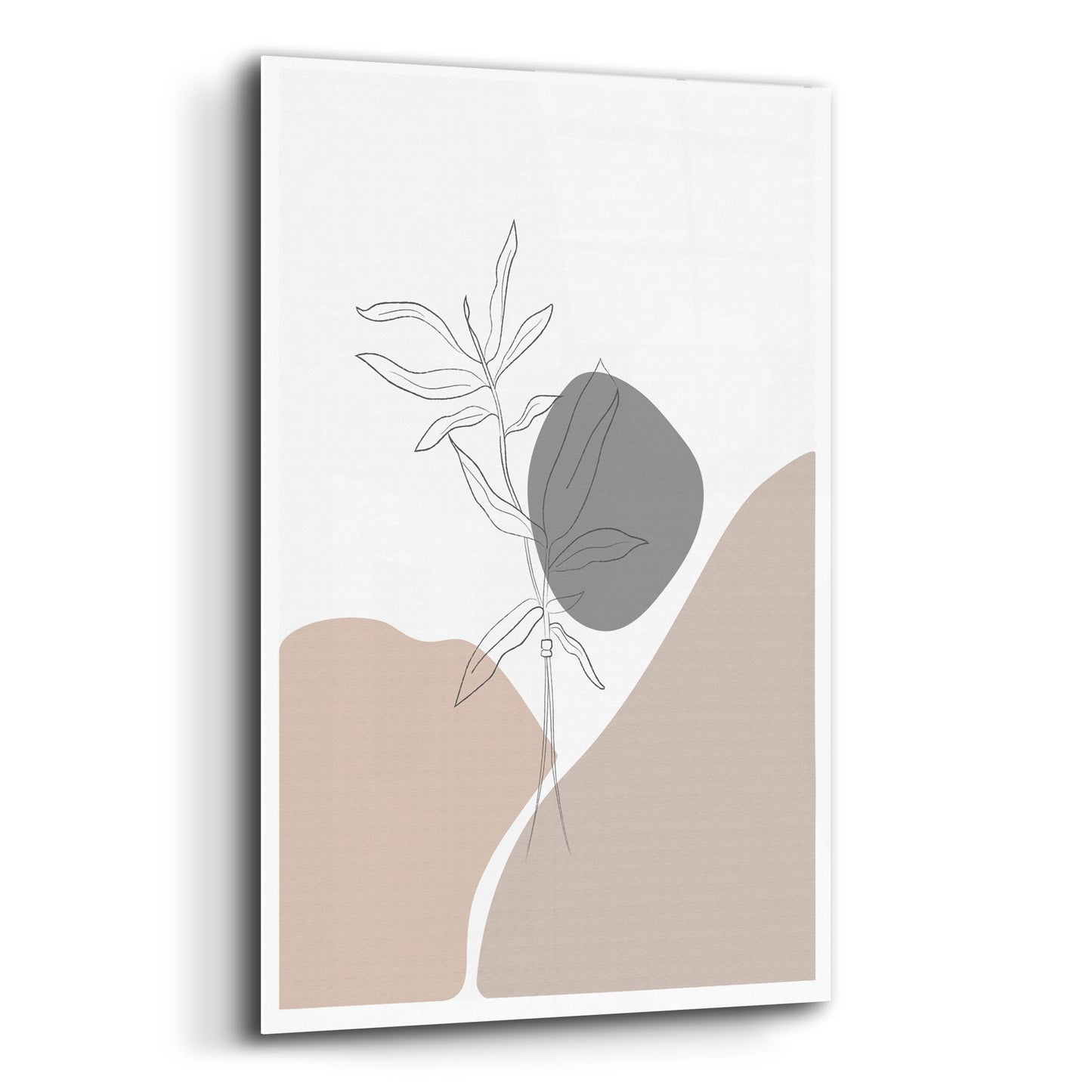 Epic Art 'Abstract Minimal Plants' by Sabrina Balbuena, Acrylic Glass Wall Art,12x16