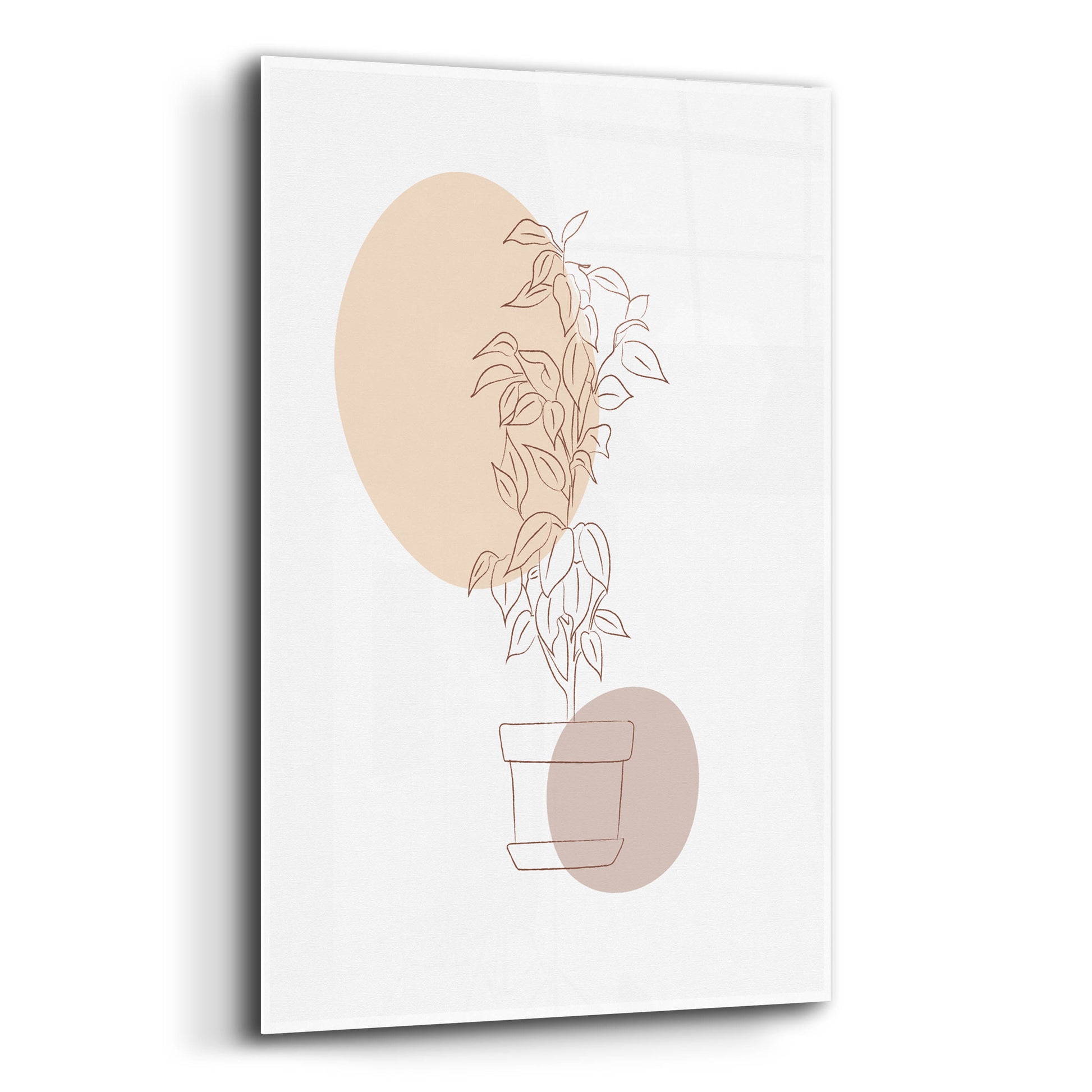 Epic Art 'Abstract Minimal Flourish Pot' by Sabrina Balbuena, Acrylic Glass Wall Art,12x16