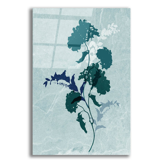 Epic Art 'Dry Blue Flowers 2' by Sabrina Balbuena, Acrylic Glass Wall Art