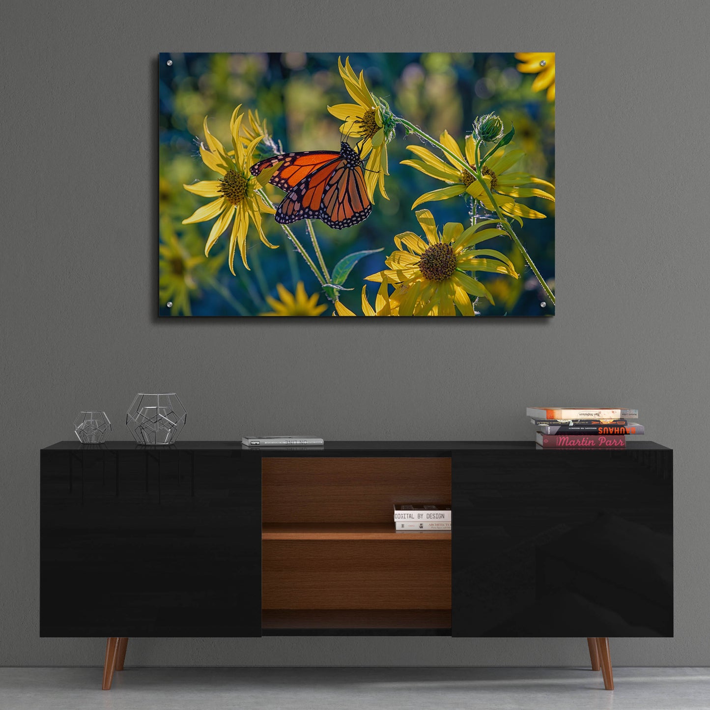 Epic Art 'The Monarch and the Sunflower' by Rick Berk, Acrylic Glass Wall Art,36x24
