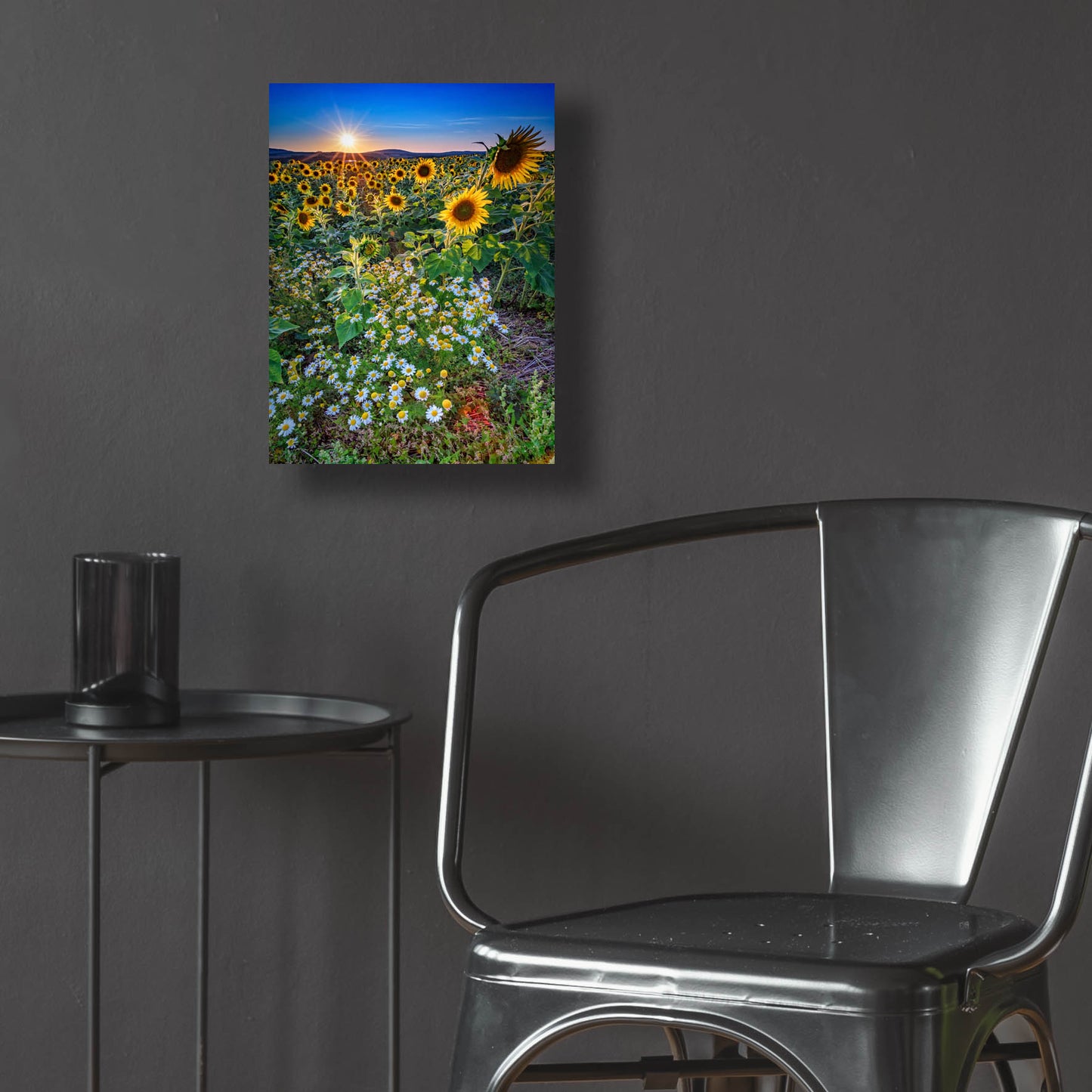 Epic Art 'Sunflowers & Canary Island Marguerites' by Rick Berk, Acrylic Glass Wall Art,12x16