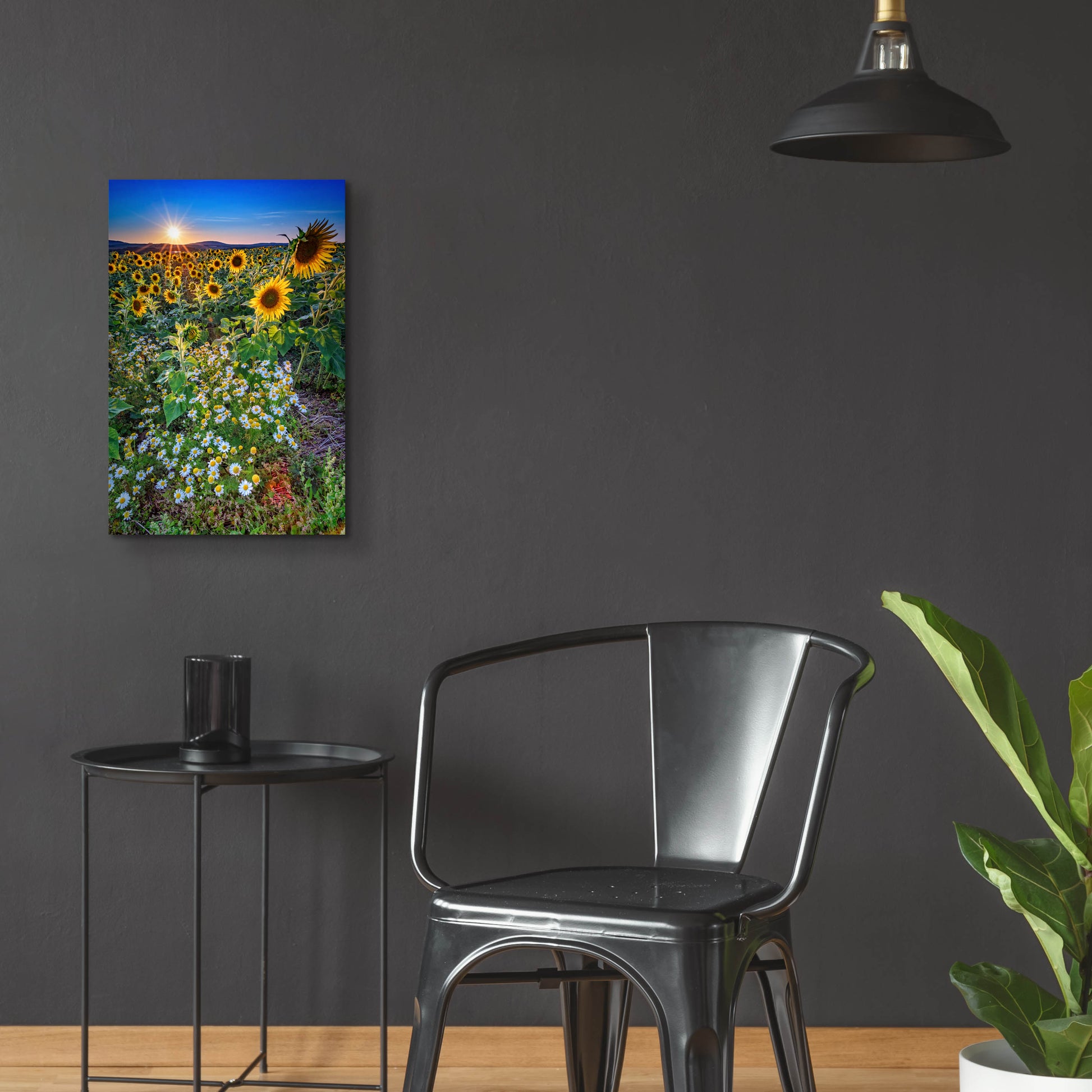 Epic Art 'Sunflowers & Canary Island Marguerites' by Rick Berk, Acrylic Glass Wall Art,16x24