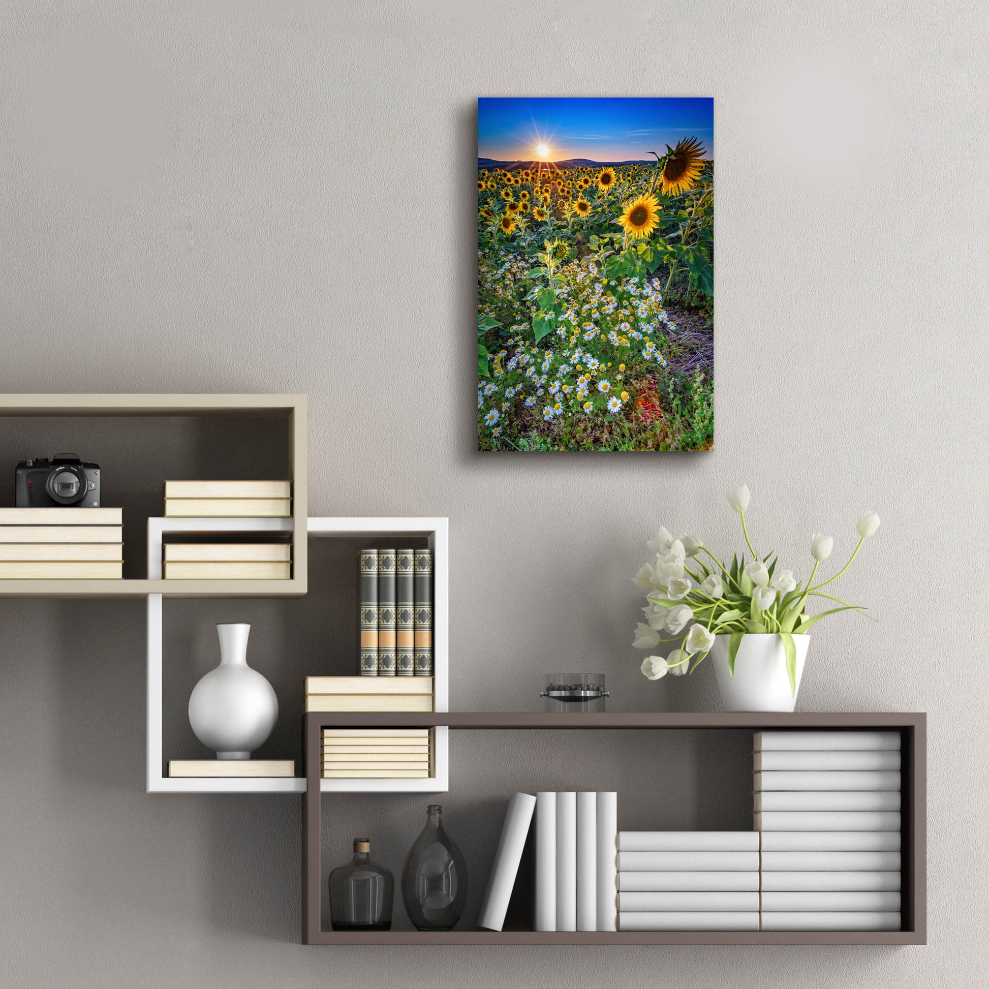 Epic Art 'Sunflowers & Canary Island Marguerites' by Rick Berk, Acrylic Glass Wall Art,16x24