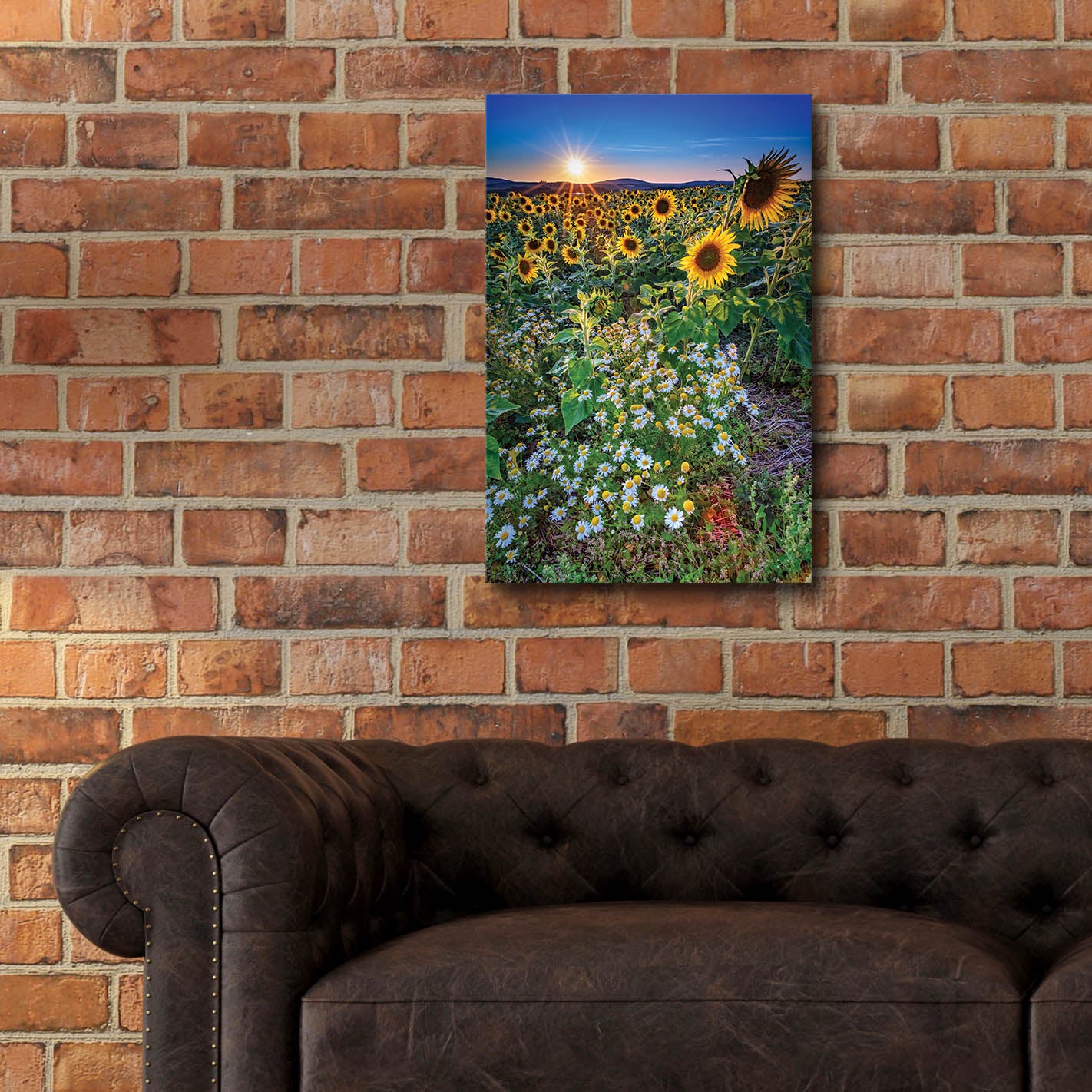 Epic Art 'Sunflowers & Canary Island Marguerites' by Rick Berk, Acrylic Glass Wall Art,16x24