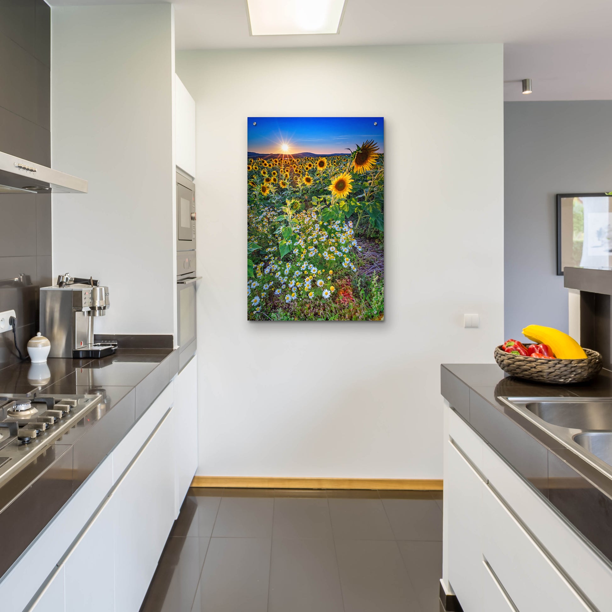 Epic Art 'Sunflowers & Canary Island Marguerites' by Rick Berk, Acrylic Glass Wall Art,24x36