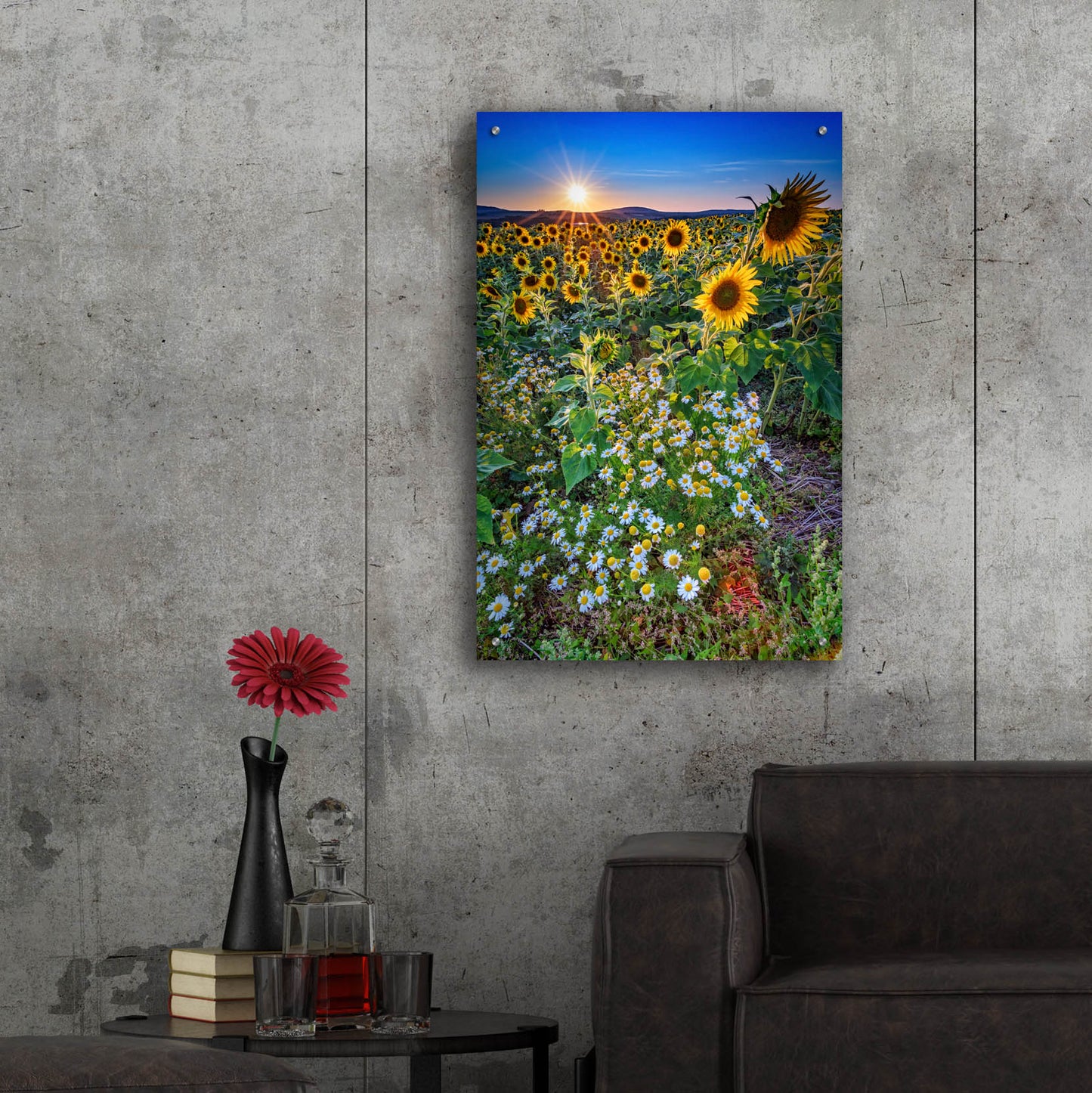 Epic Art 'Sunflowers & Canary Island Marguerites' by Rick Berk, Acrylic Glass Wall Art,24x36