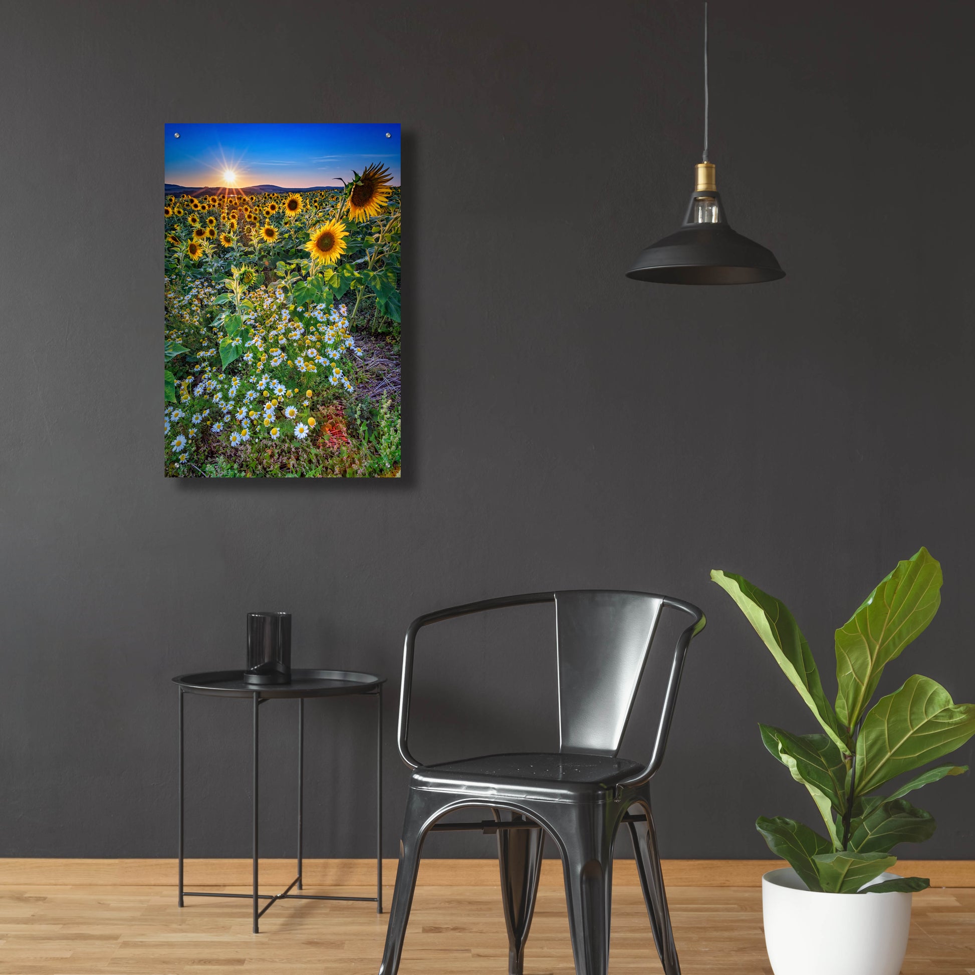 Epic Art 'Sunflowers & Canary Island Marguerites' by Rick Berk, Acrylic Glass Wall Art,24x36