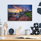 Epic Art 'Bristlecone Sunset' by Rick Berk, Acrylic Glass Wall Art,16x12