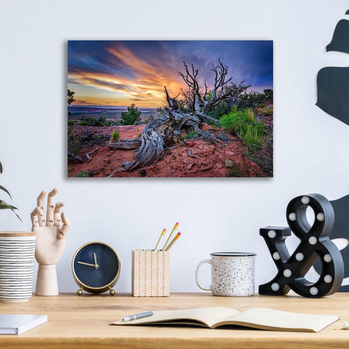 Epic Art 'Bristlecone Sunset' by Rick Berk, Acrylic Glass Wall Art,16x12
