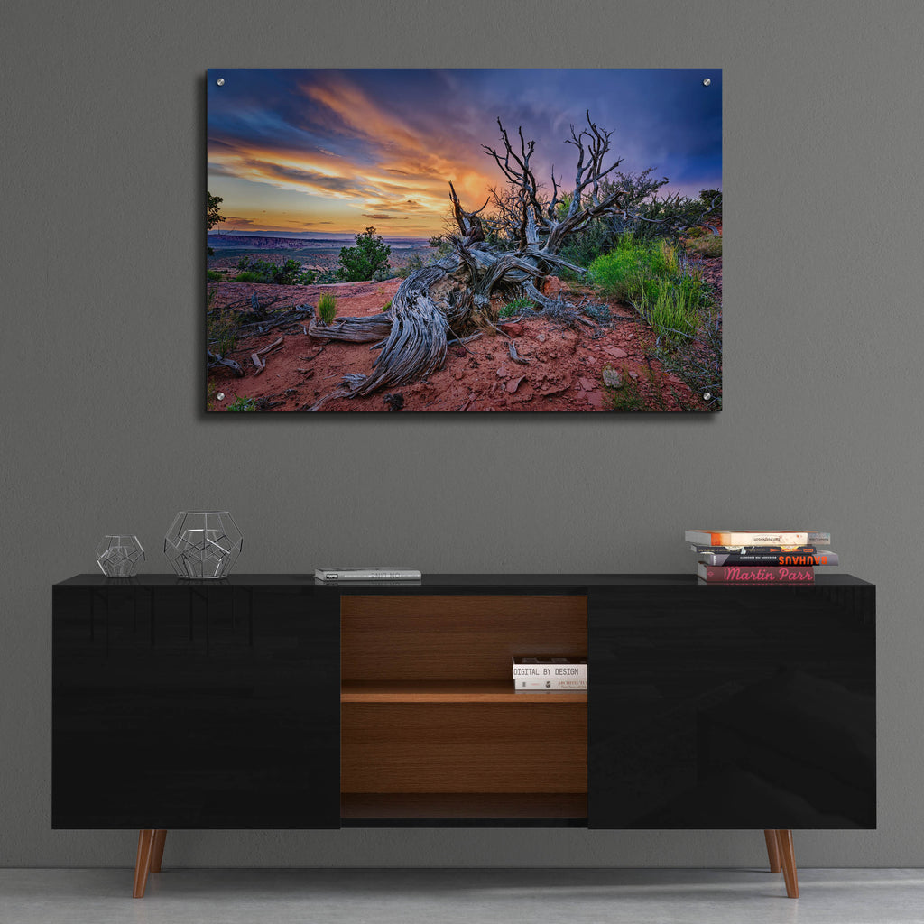 Epic Art 'Bristlecone Sunset' by Rick Berk, Acrylic Glass Wall Art,36x24