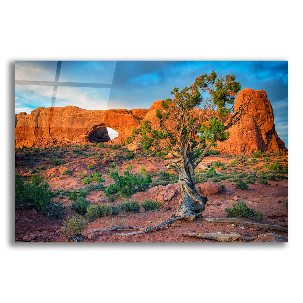 Epic Art 'The Windows' by Rick Berk, Acrylic Glass Wall Art
