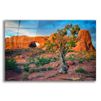 Epic Art 'The Windows' by Rick Berk, Acrylic Glass Wall Art