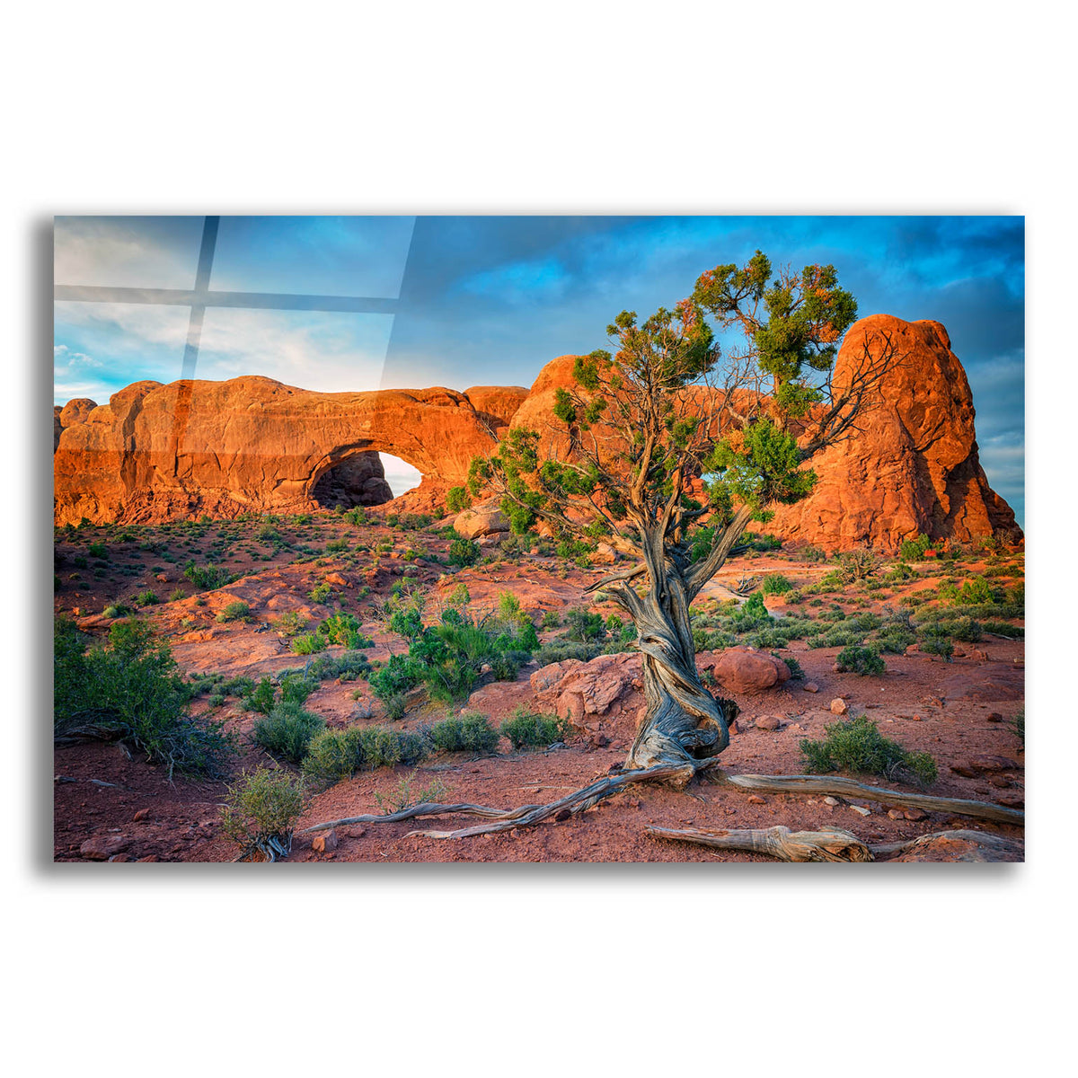 Epic Art 'The Windows' by Rick Berk, Acrylic Glass Wall Art