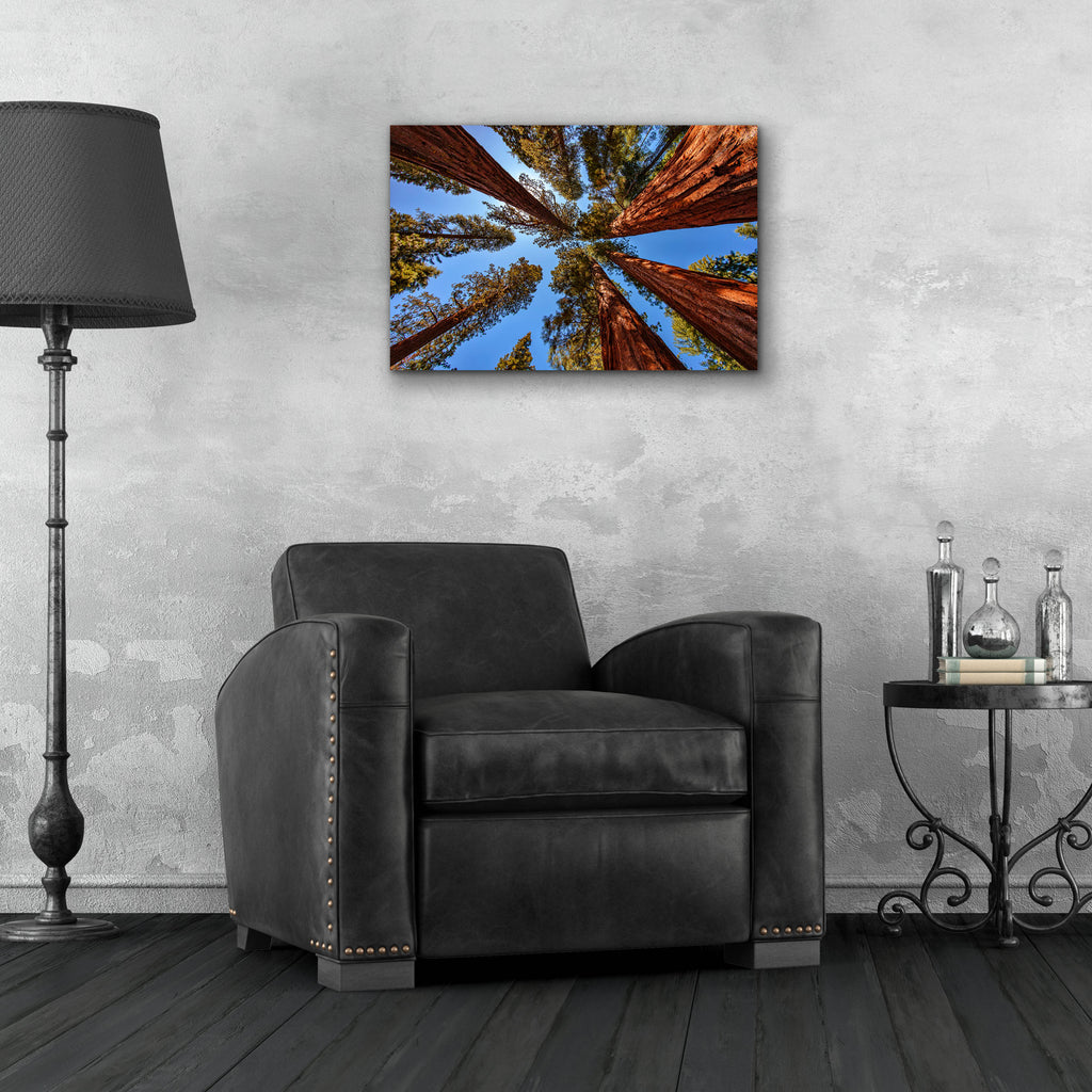 Epic Art 'The Bachelor and the Three Graces' by Rick Berk, Acrylic Glass Wall Art,24x16