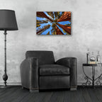 Epic Art 'The Bachelor and the Three Graces' by Rick Berk, Acrylic Glass Wall Art,24x16