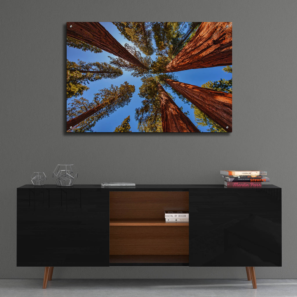Epic Art 'The Bachelor and the Three Graces' by Rick Berk, Acrylic Glass Wall Art,36x24