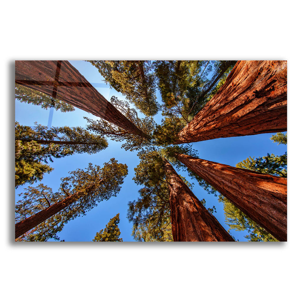 Epic Art 'The Bachelor and the Three Graces' by Rick Berk, Acrylic Glass Wall Art
