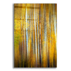 Epic Art 'Aspenglow III' by Rick Berk, Acrylic Glass Wall Art