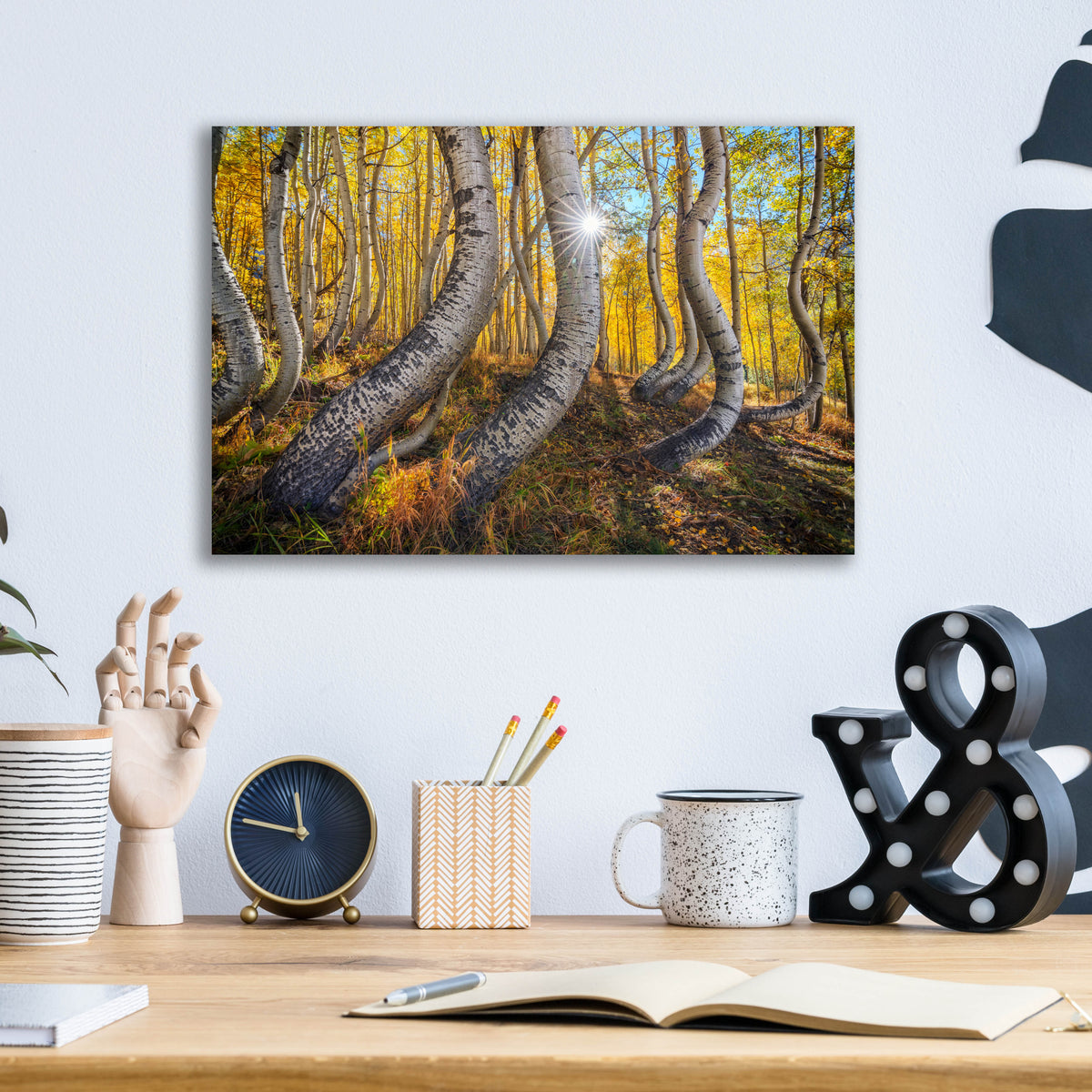 Epic Art 'Dance Of The Aspens' by Rick Berk, Acrylic Glass Wall Art,16x12