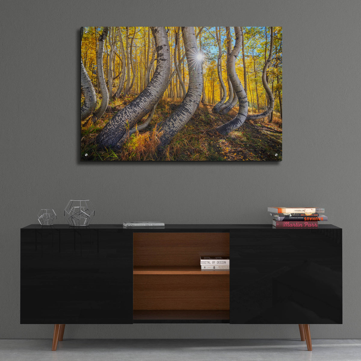Epic Art 'Dance Of The Aspens' by Rick Berk, Acrylic Glass Wall Art,36x24