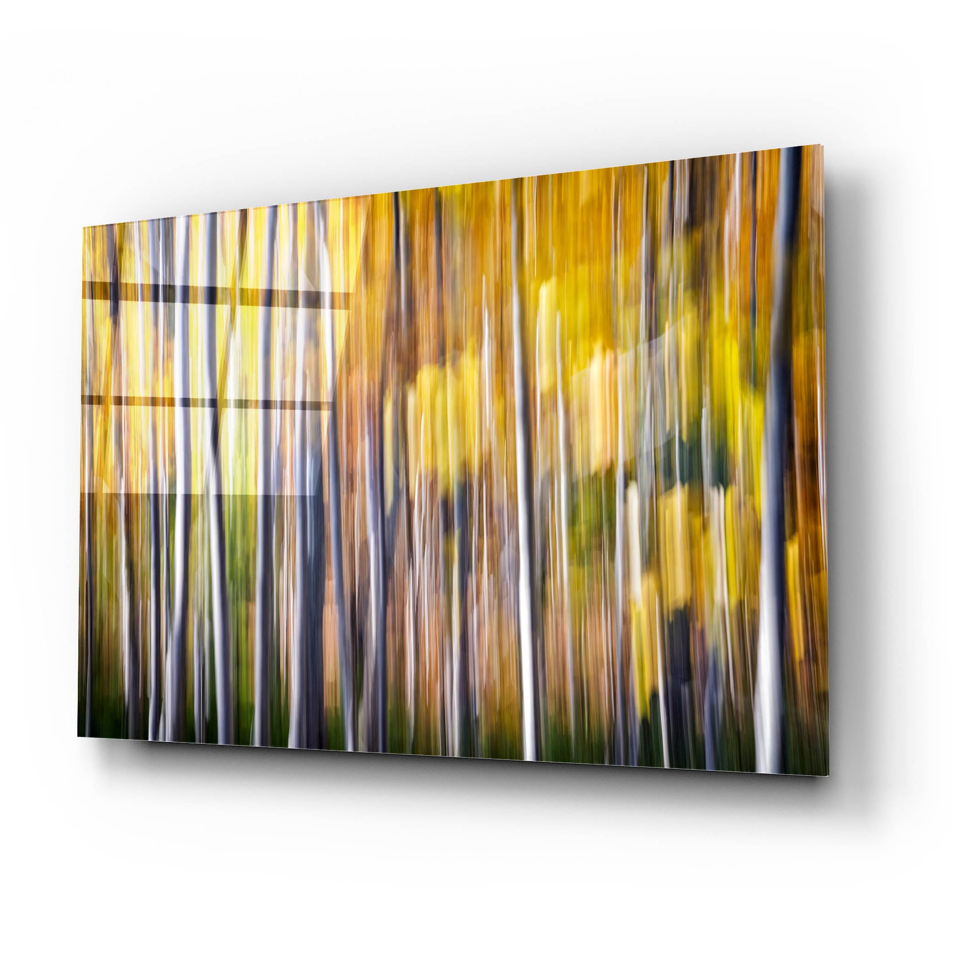 Epic Art 'Autumn Birches Abstract' by Rick Berk, Acrylic Glass Wall Art,24x16