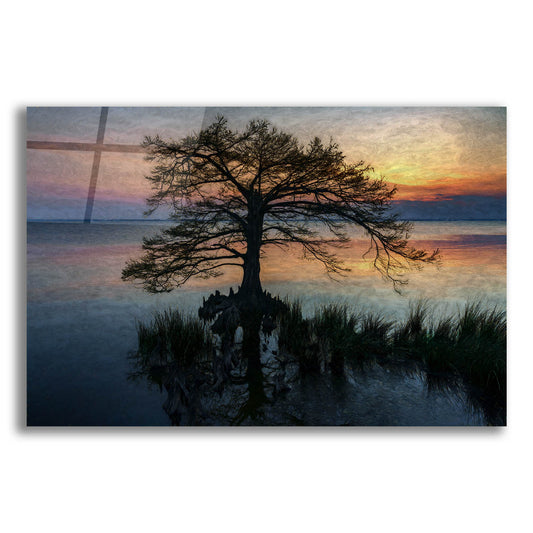 Epic Art 'Dusk on Currituck Sound Oil Painting' by Rick Berk, Acrylic Glass Wall Art