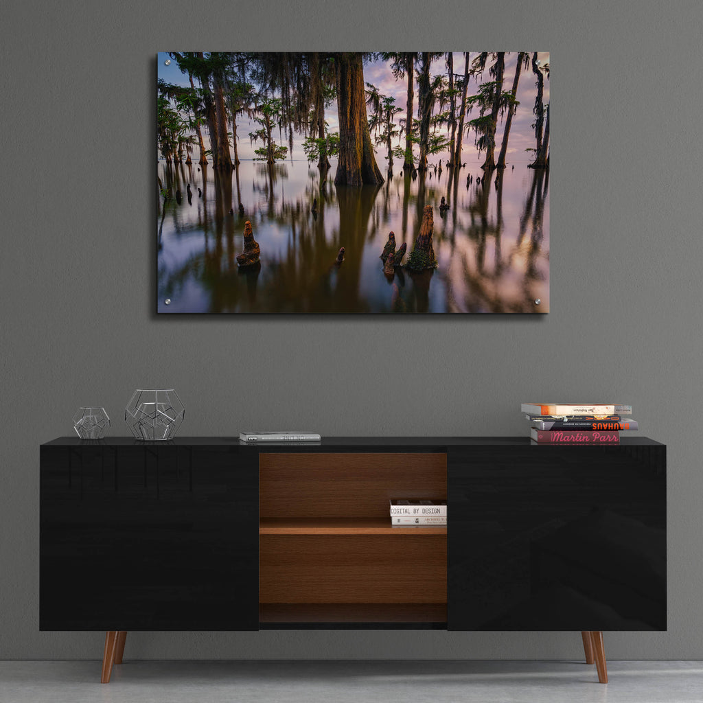 Epic Art 'Maurepas Morning' by Rick Berk, Acrylic Glass Wall Art,36x24