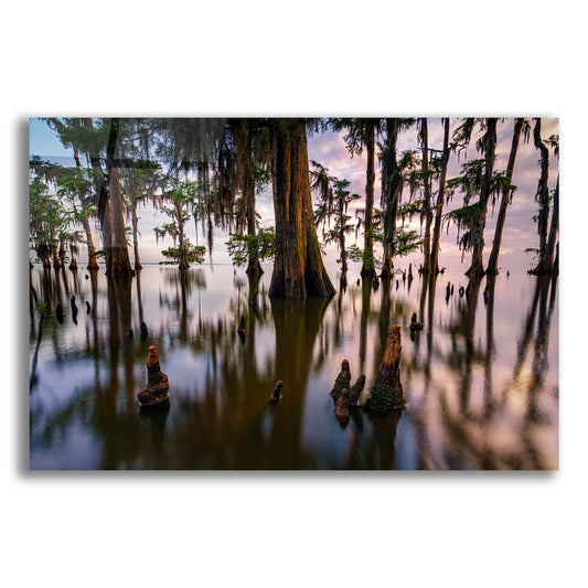 Epic Art 'Maurepas Morning' by Rick Berk, Acrylic Glass Wall Art